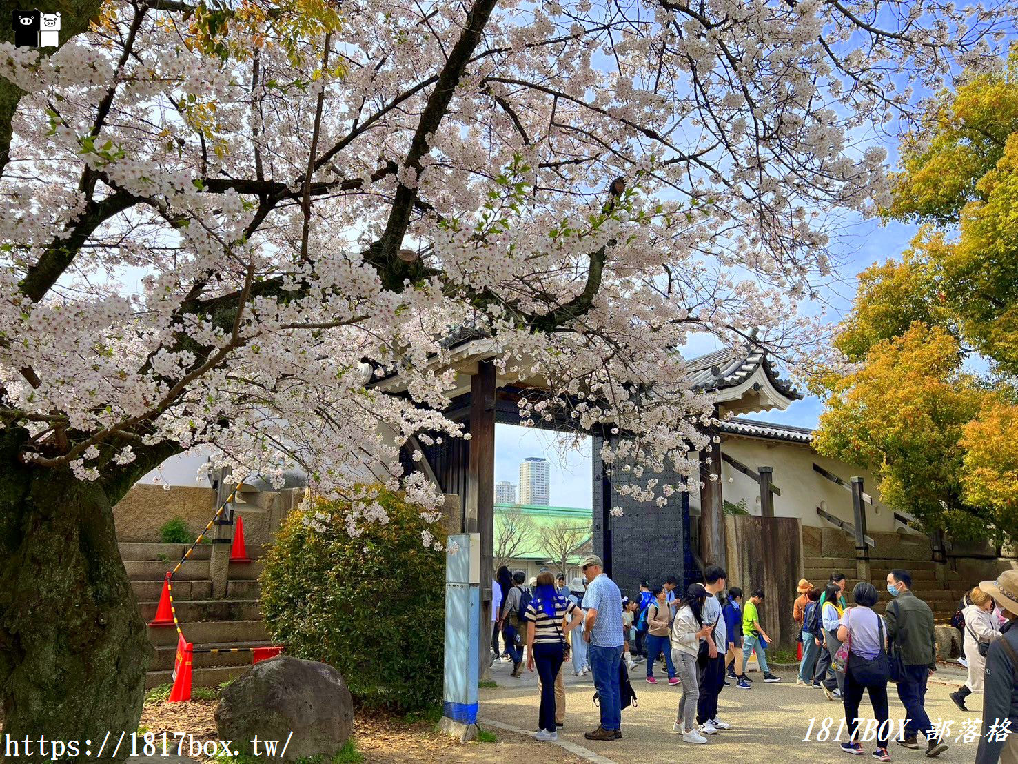 【大阪景點】絕美大阪城公園。一年四季繁花圍繞。大阪城天守閣。太閣大人的城堡