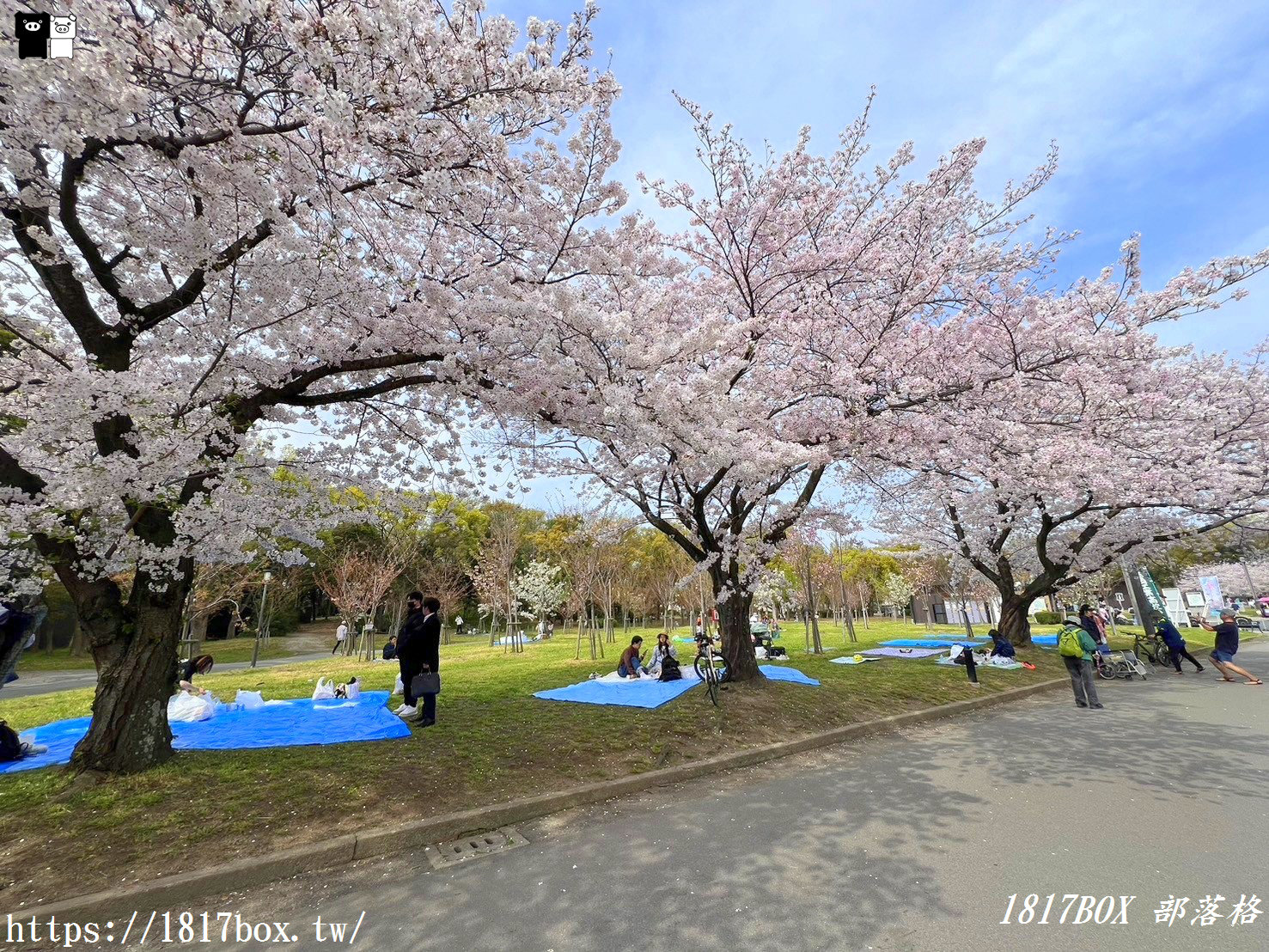 【大阪景點】絕美大阪城公園。一年四季繁花圍繞。大阪城天守閣。太閣大人的城堡