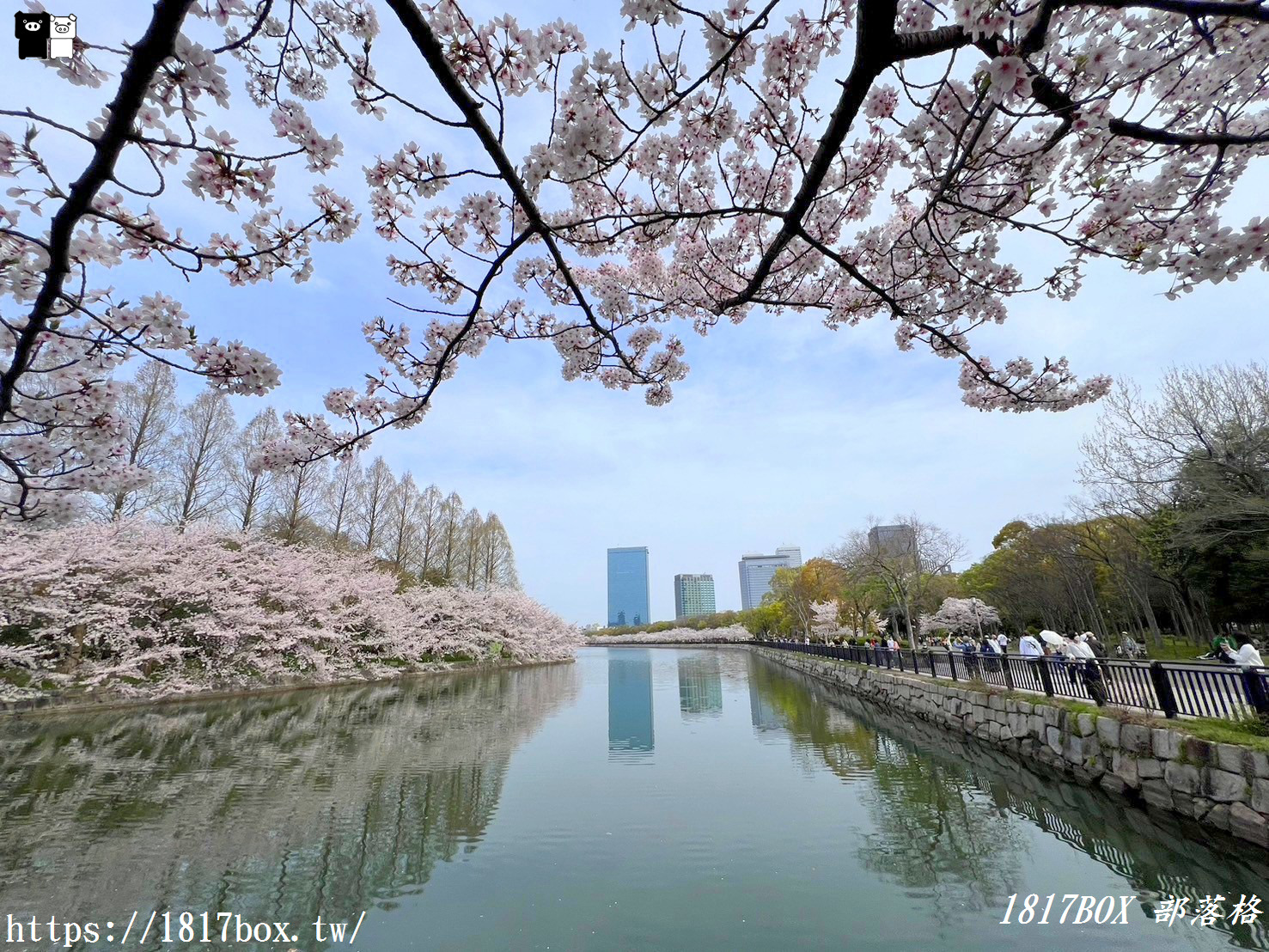 【大阪景點】絕美大阪城公園。一年四季繁花圍繞。大阪城天守閣。太閣大人的城堡