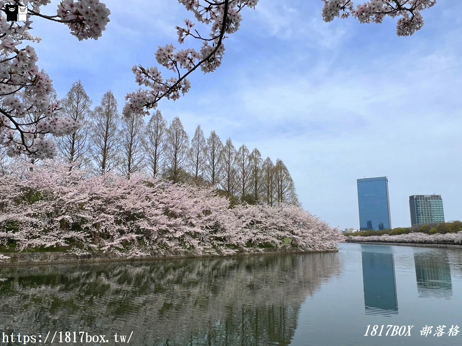 【大阪景點】絕美大阪城公園。一年四季繁花圍繞。大阪城天守閣。太閣大人的城堡