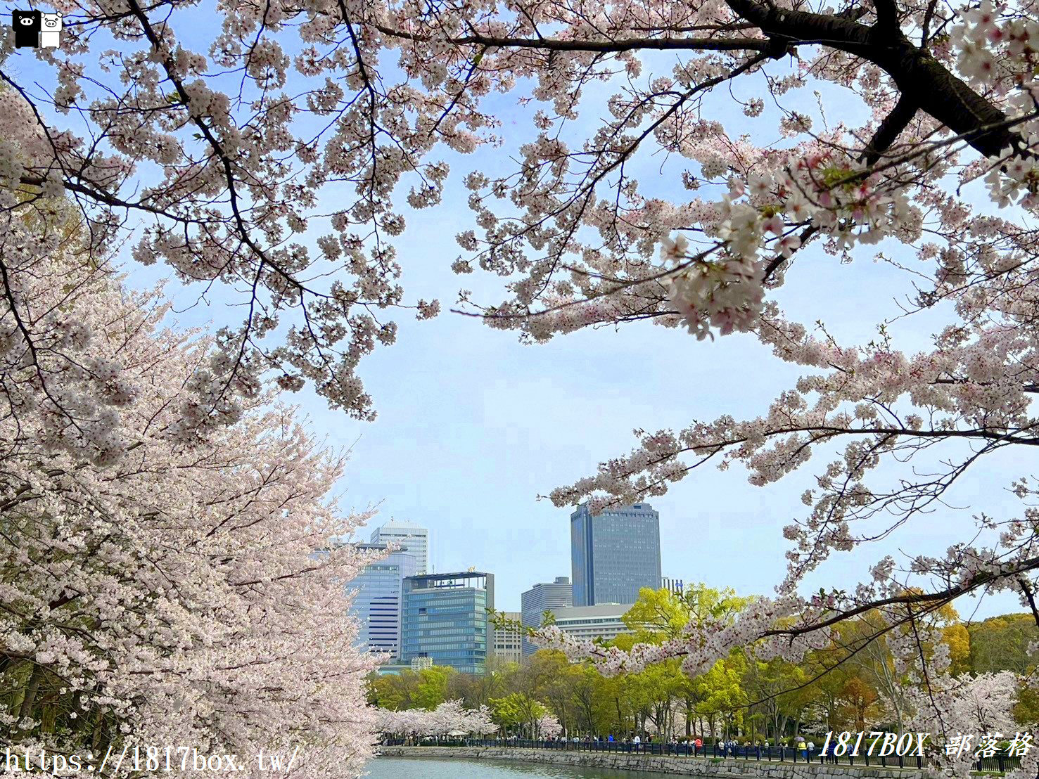 【大阪景點】絕美大阪城公園。一年四季繁花圍繞。大阪城天守閣。太閣大人的城堡