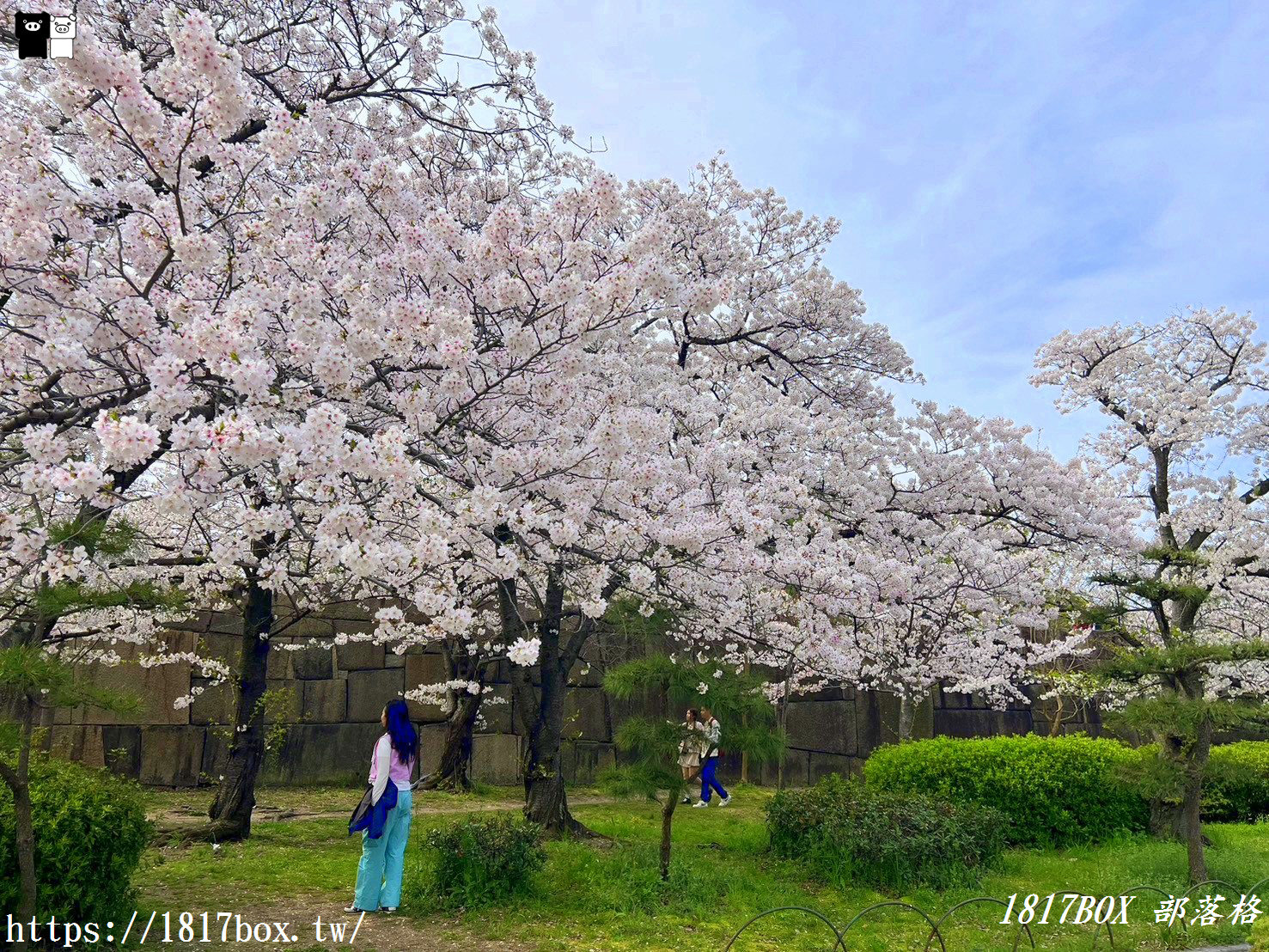 【大阪景點】絕美大阪城公園。一年四季繁花圍繞。大阪城天守閣。太閣大人的城堡