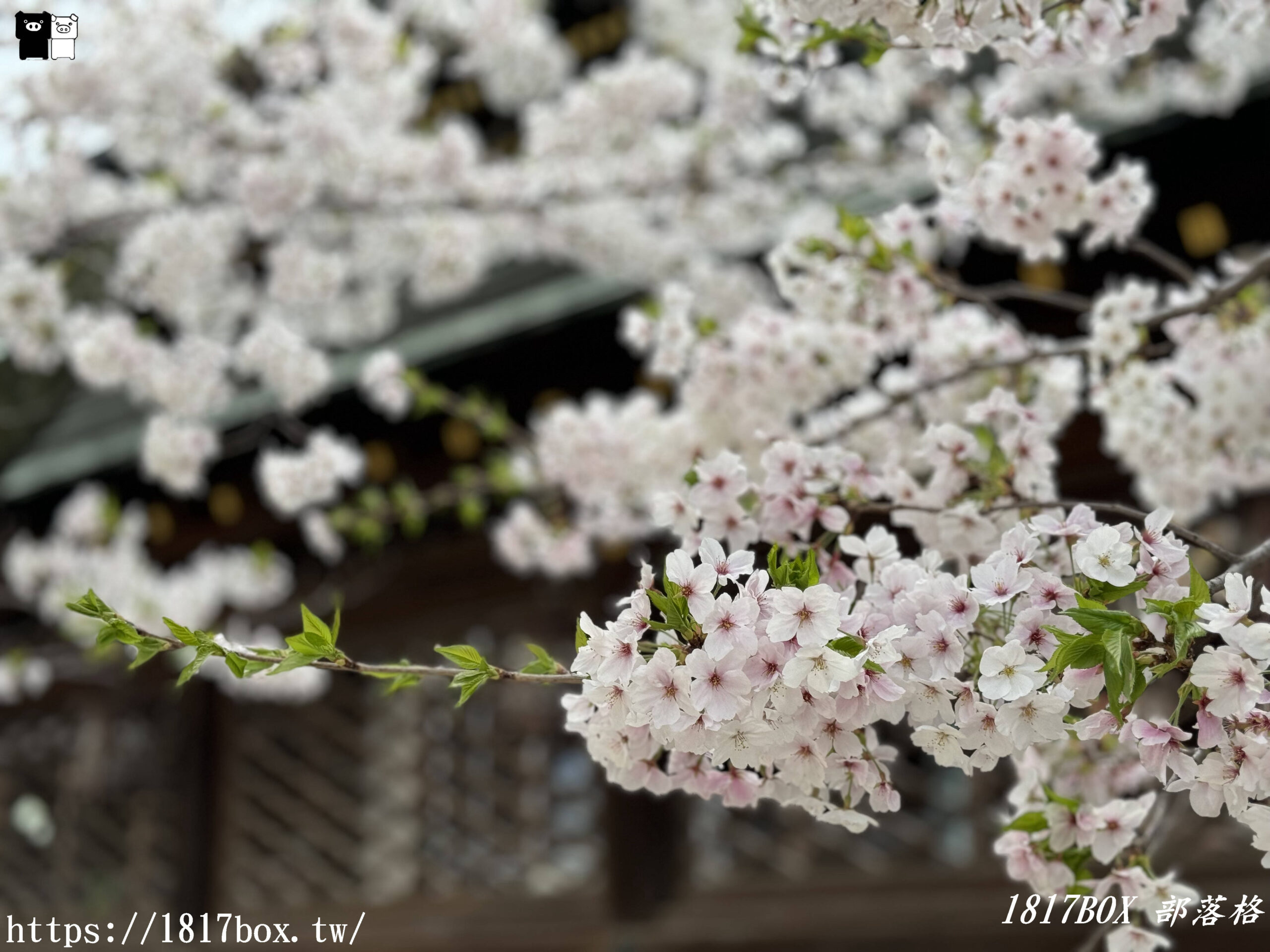 【大阪景點】大阪天滿宮。擁有千年歷史。供奉學問之神菅原道真的神社