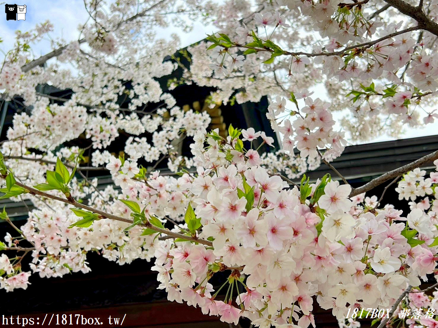 【大阪景點】大阪天滿宮。擁有千年歷史。供奉學問之神菅原道真的神社