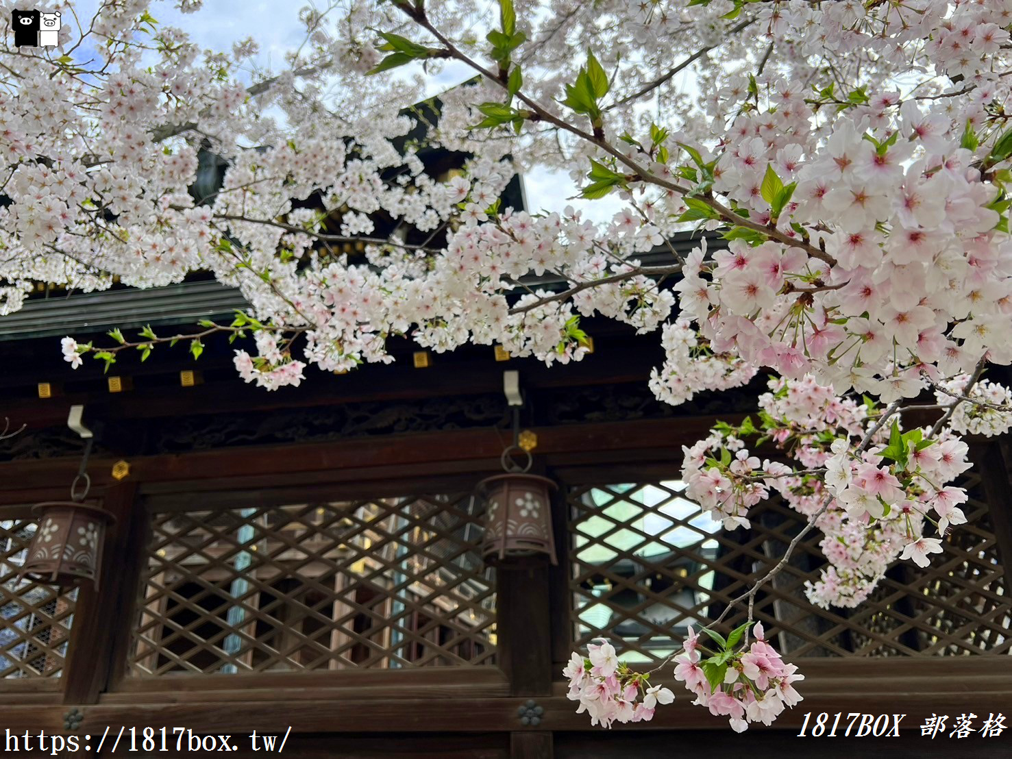 【大阪景點】大阪天滿宮。擁有千年歷史。供奉學問之神菅原道真的神社