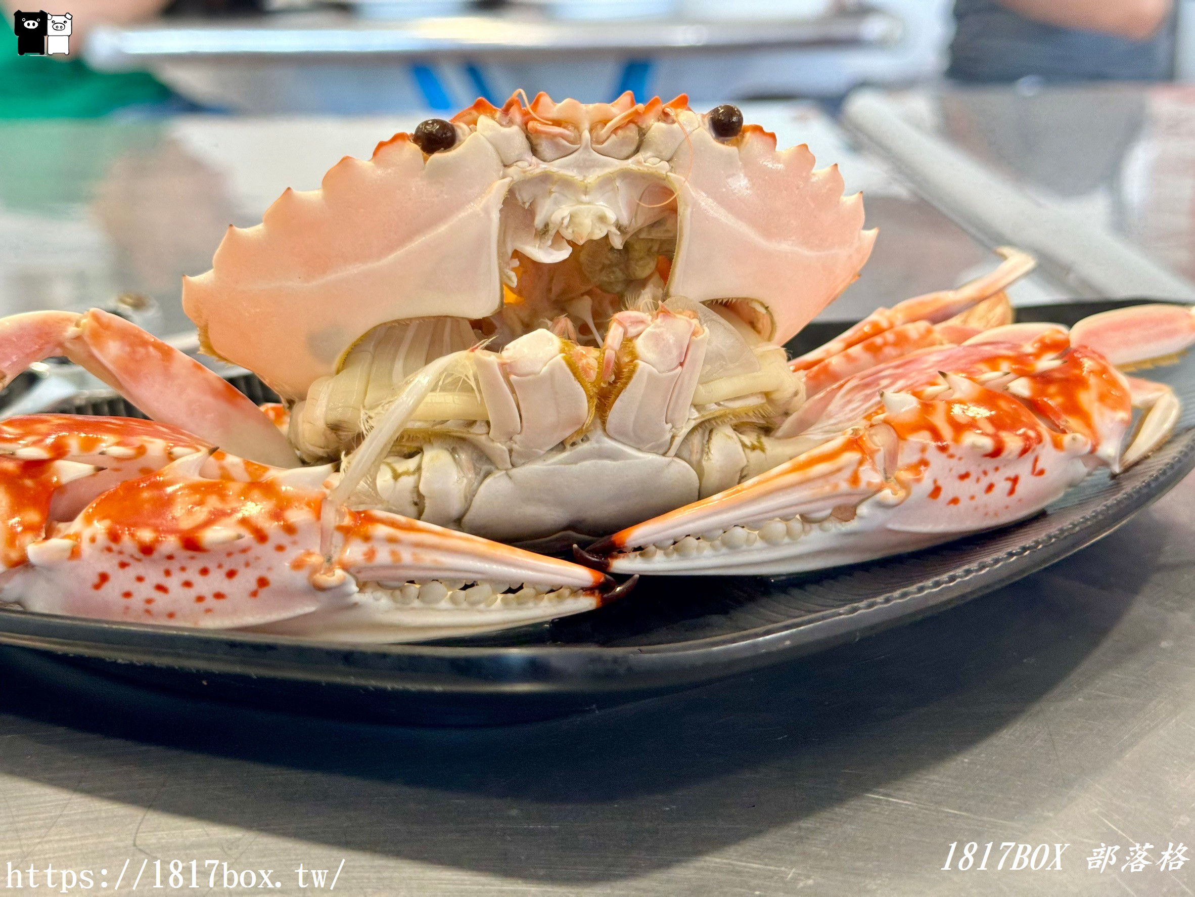 【新北。萬里】大樹下活海鮮 ( 龜吼漁港 )。樹下的鐵皮屋海產店