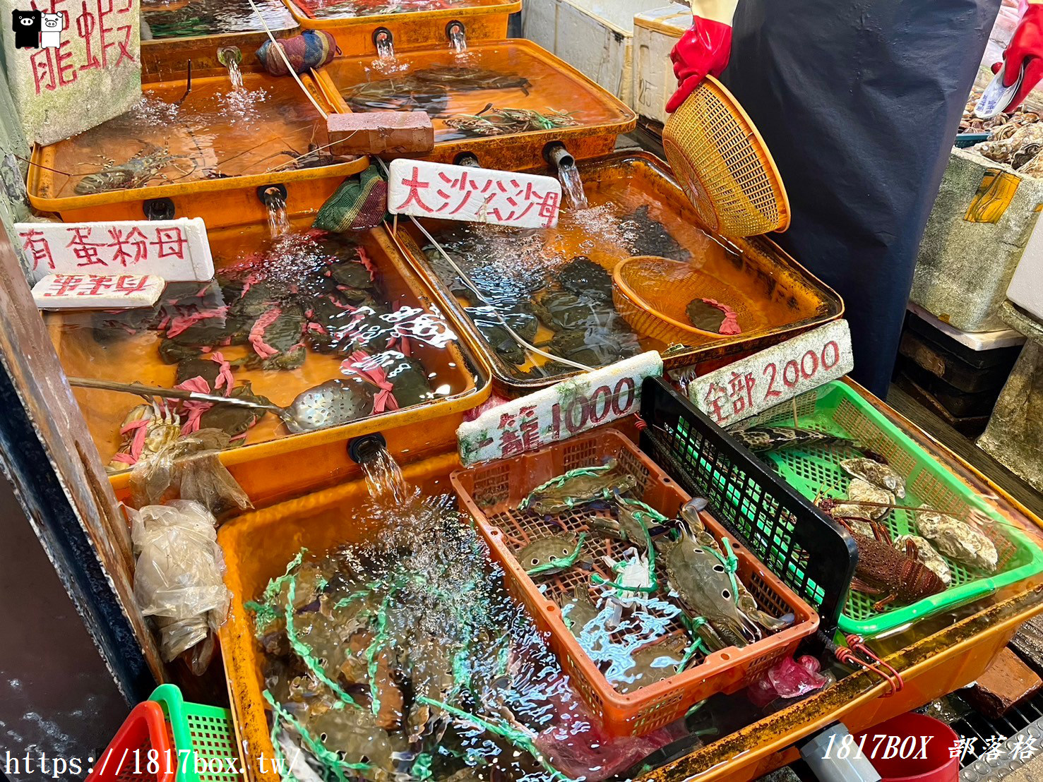 【新北。萬里】龜吼漁港。龜吼漁夫市集。龜吼螃蟹主題公園