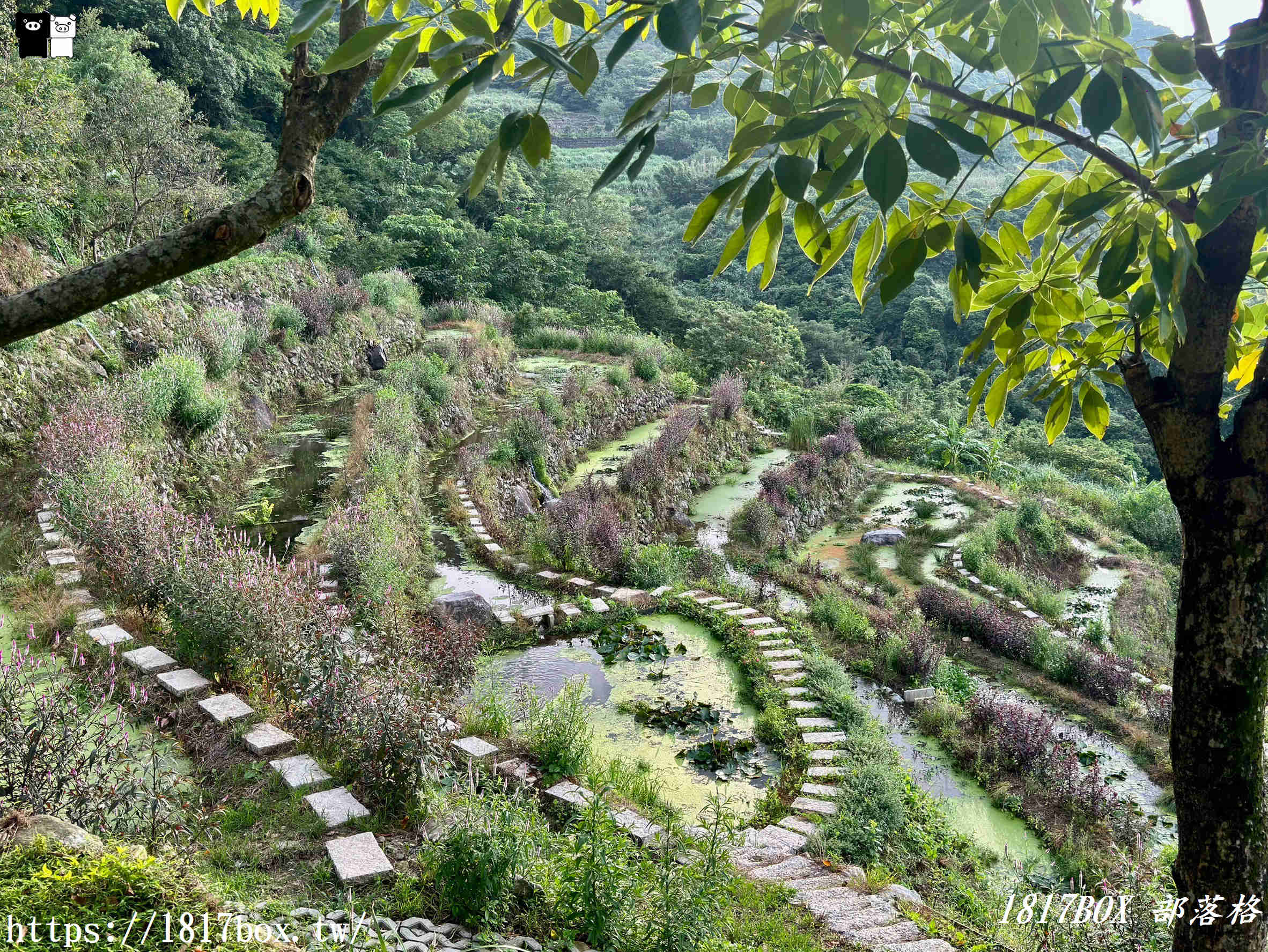 【新北。石門】百年梯田-石門嵩山。石頭屋 (許家石頭厝)。全臺唯一用陽明山火山岩砌成的百年石砌梯田