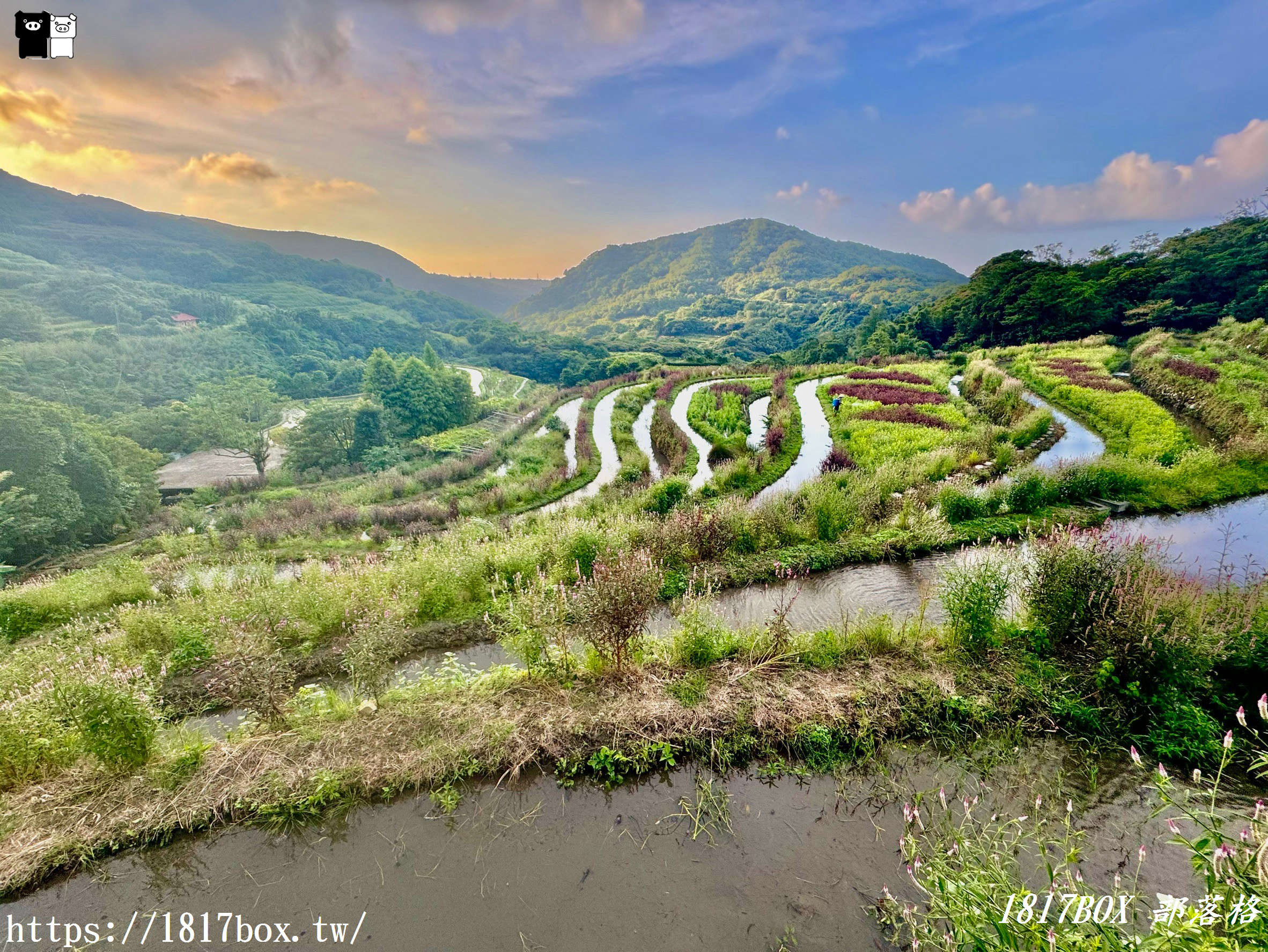 【新北。石門】百年梯田-石門嵩山。石頭屋 (許家石頭厝)。全臺唯一用陽明山火山岩砌成的百年石砌梯田