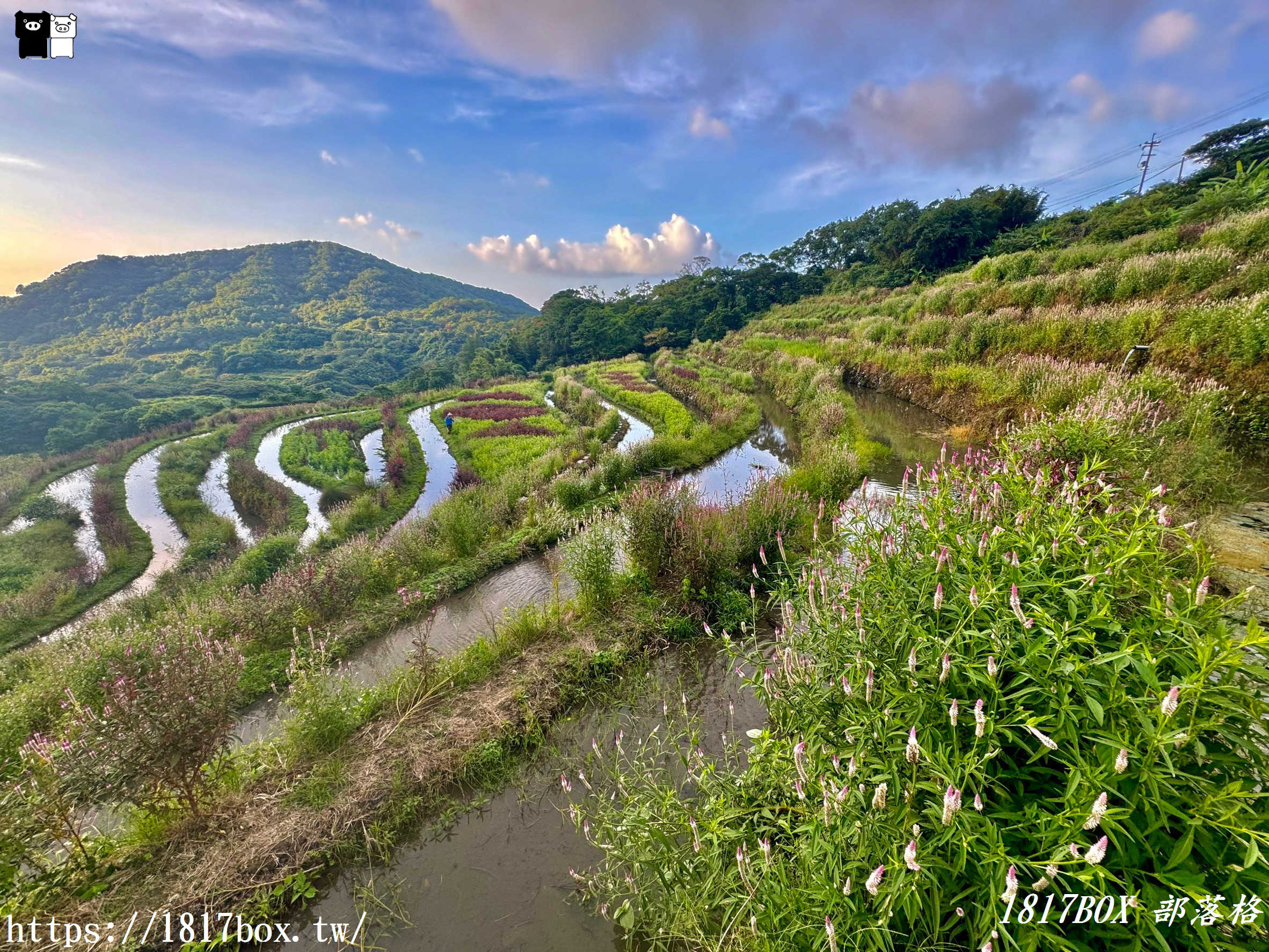 【新北。石門】百年梯田-石門嵩山。石頭屋 (許家石頭厝)。全臺唯一用陽明山火山岩砌成的百年石砌梯田