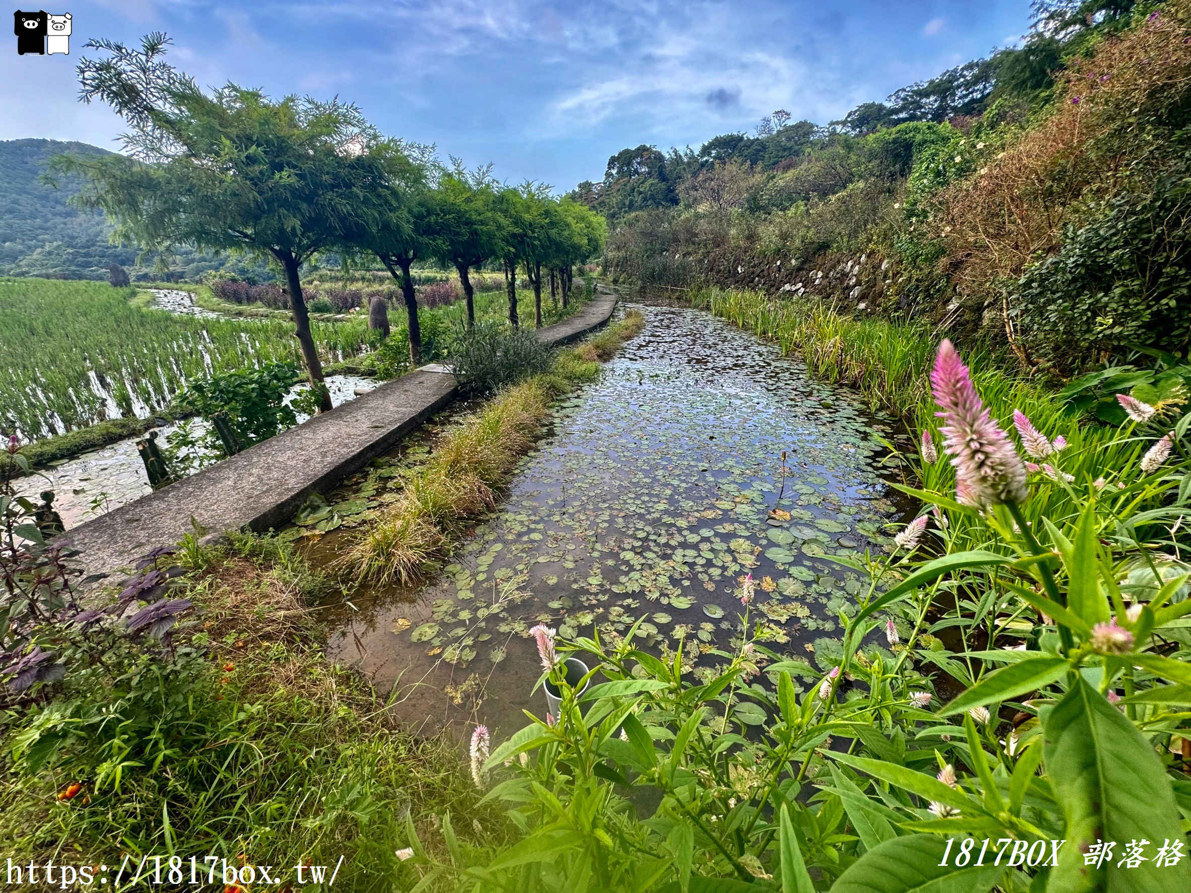 【新北。石門】百年梯田-石門嵩山。石頭屋 (許家石頭厝)。全臺唯一用陽明山火山岩砌成的百年石砌梯田