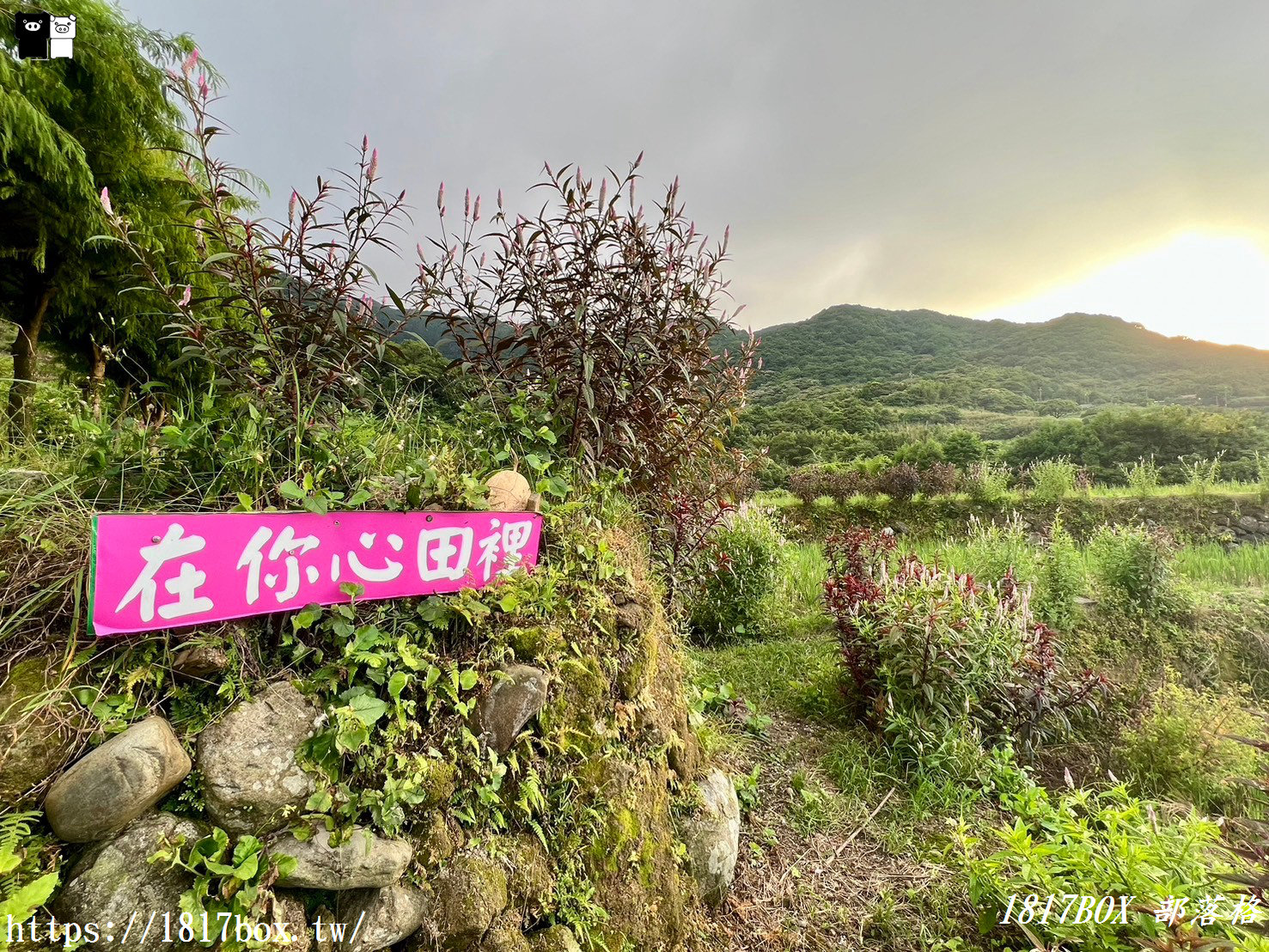 【新北。石門】百年梯田-石門嵩山。石頭屋 (許家石頭厝)。全臺唯一用陽明山火山岩砌成的百年石砌梯田