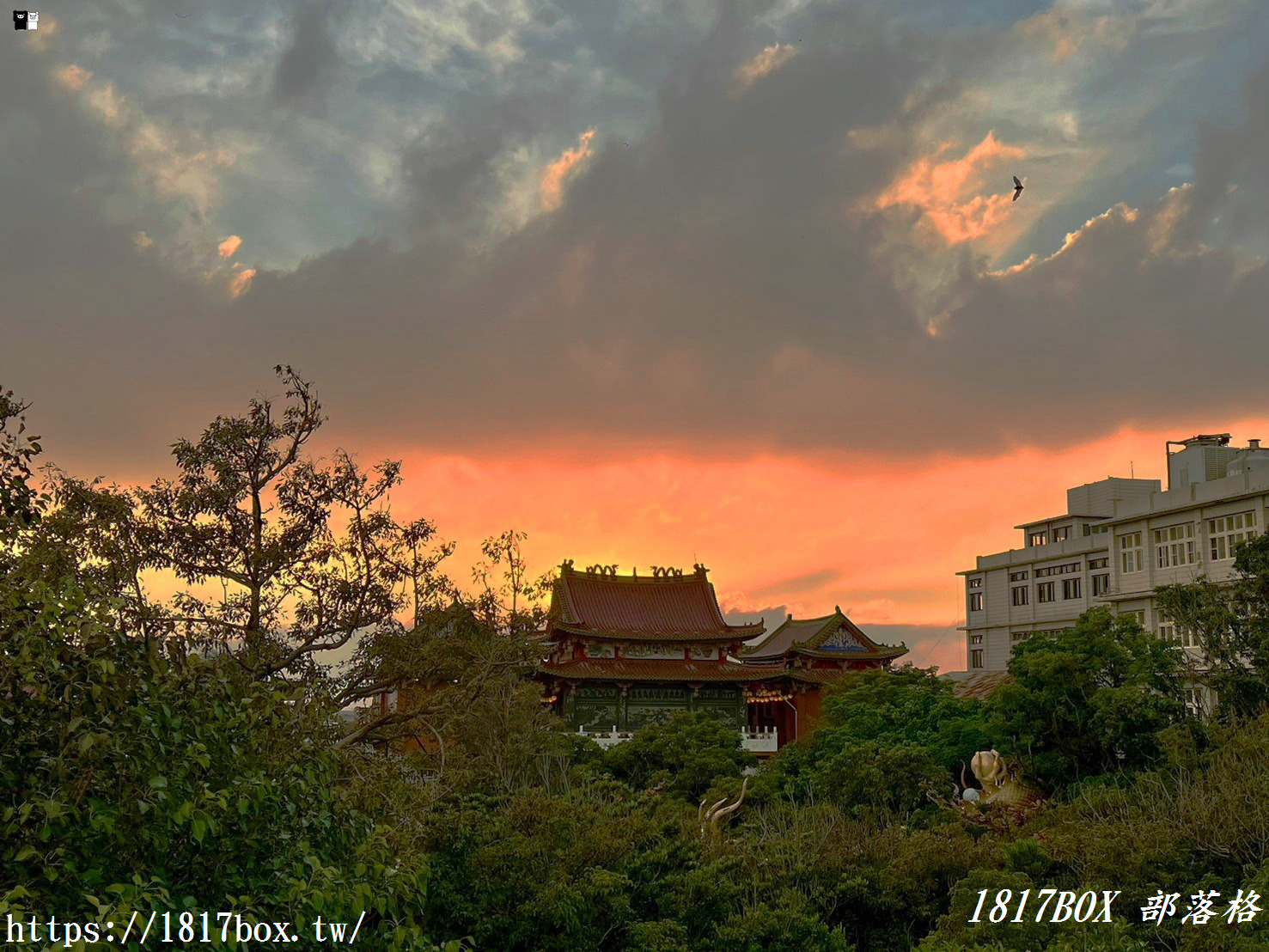 【雲林。台西】鳳凰公園。吳水花園。鳳凰城。台西五條港安西府後花園