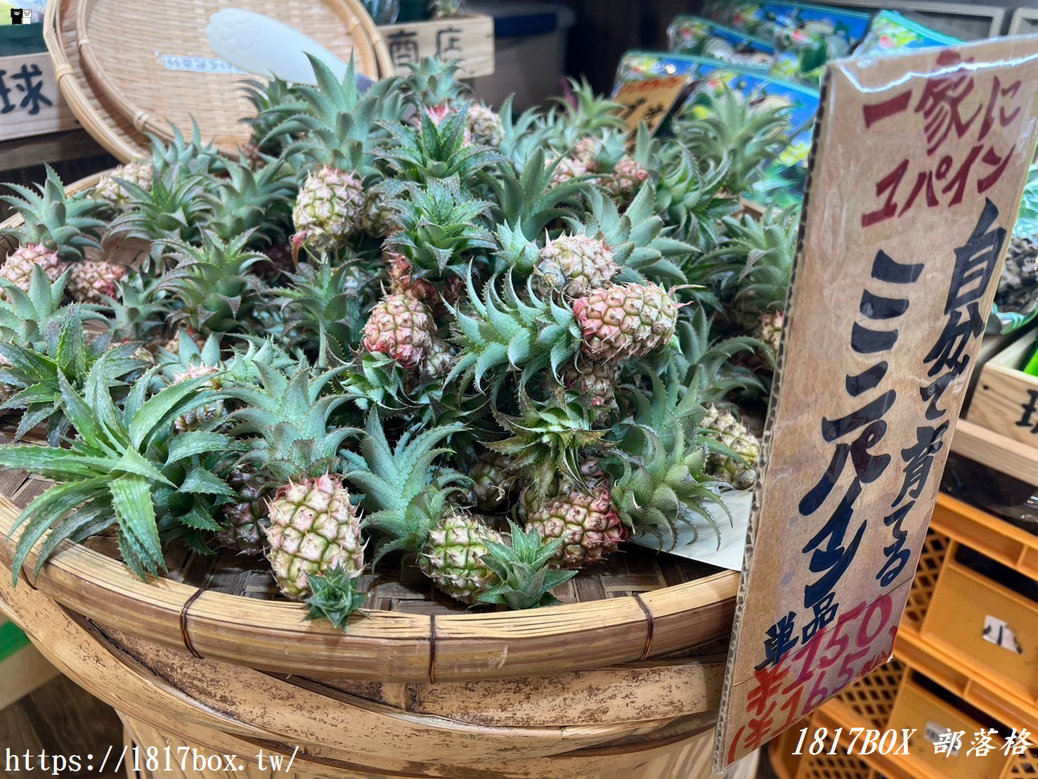 【沖繩景點】那霸國際通商店街。日本沖繩那霸必逛一條街