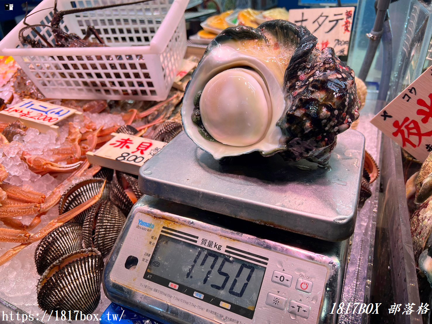 【沖繩美食】泊港漁市場。沖繩最在地。沖繩三大魚市場之一