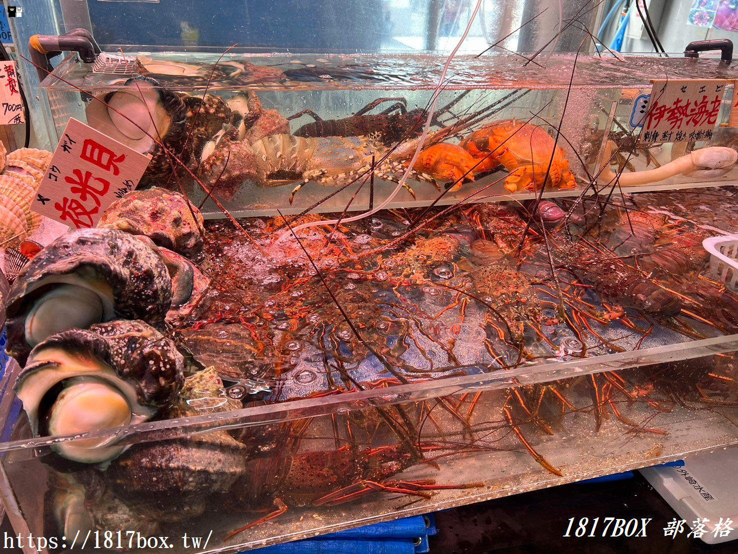 【沖繩美食】泊港漁市場。沖繩最在地。沖繩三大魚市場之一