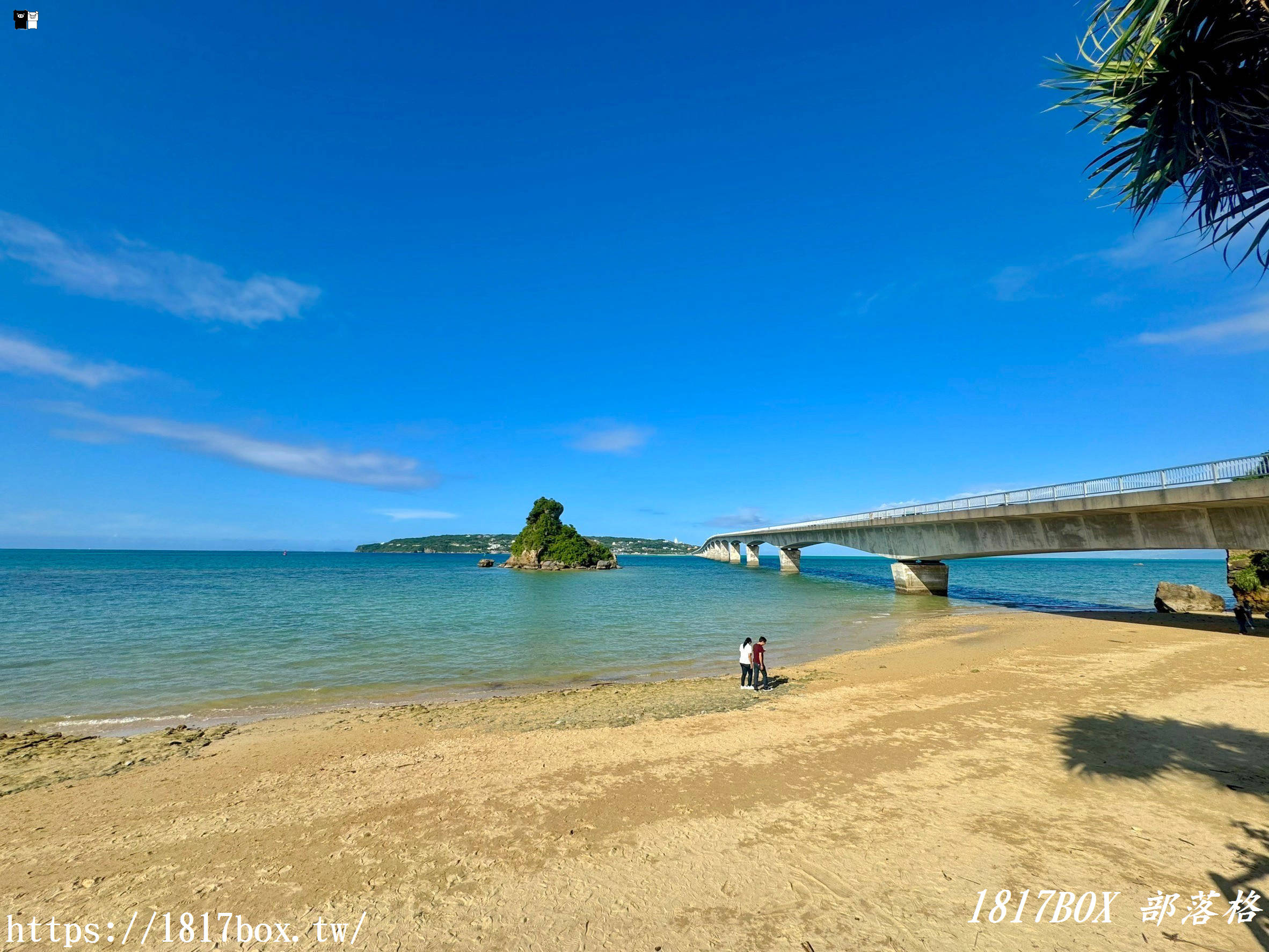 【沖繩景點】古宇利大橋。古宇利海灘。欣賞夢幻海景。感受沖繩悠閒慢活的海島風情