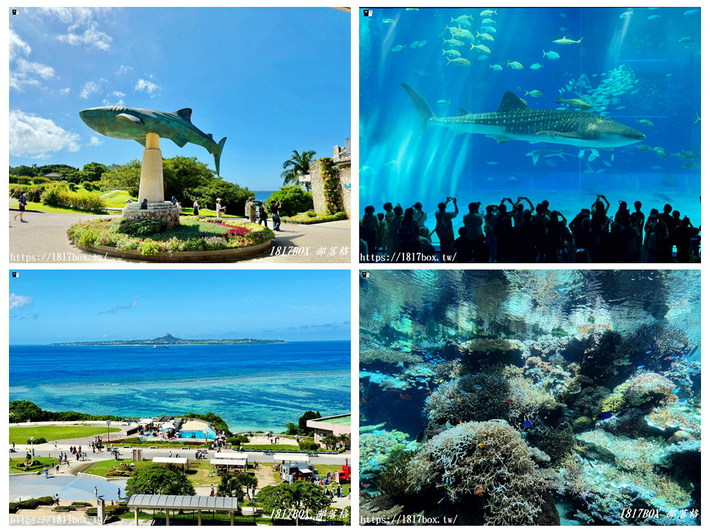 【沖繩景點】世界前三大水族館。沖繩美麗海水族館。沖繩親子遊景點首選 @1817BOX部落格