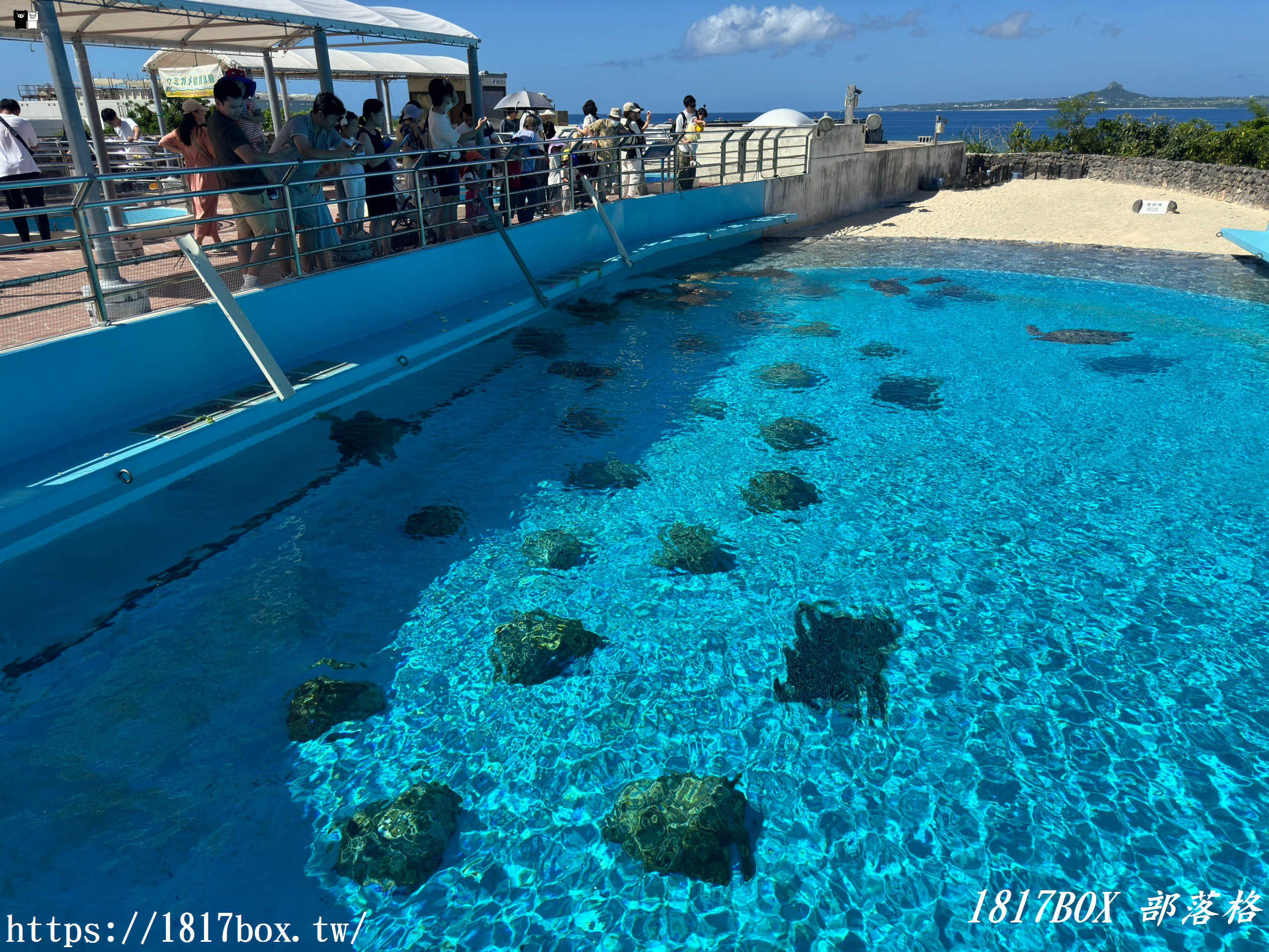 【沖繩景點】世界前三大水族館。沖繩美麗海水族館。沖繩親子遊景點首選