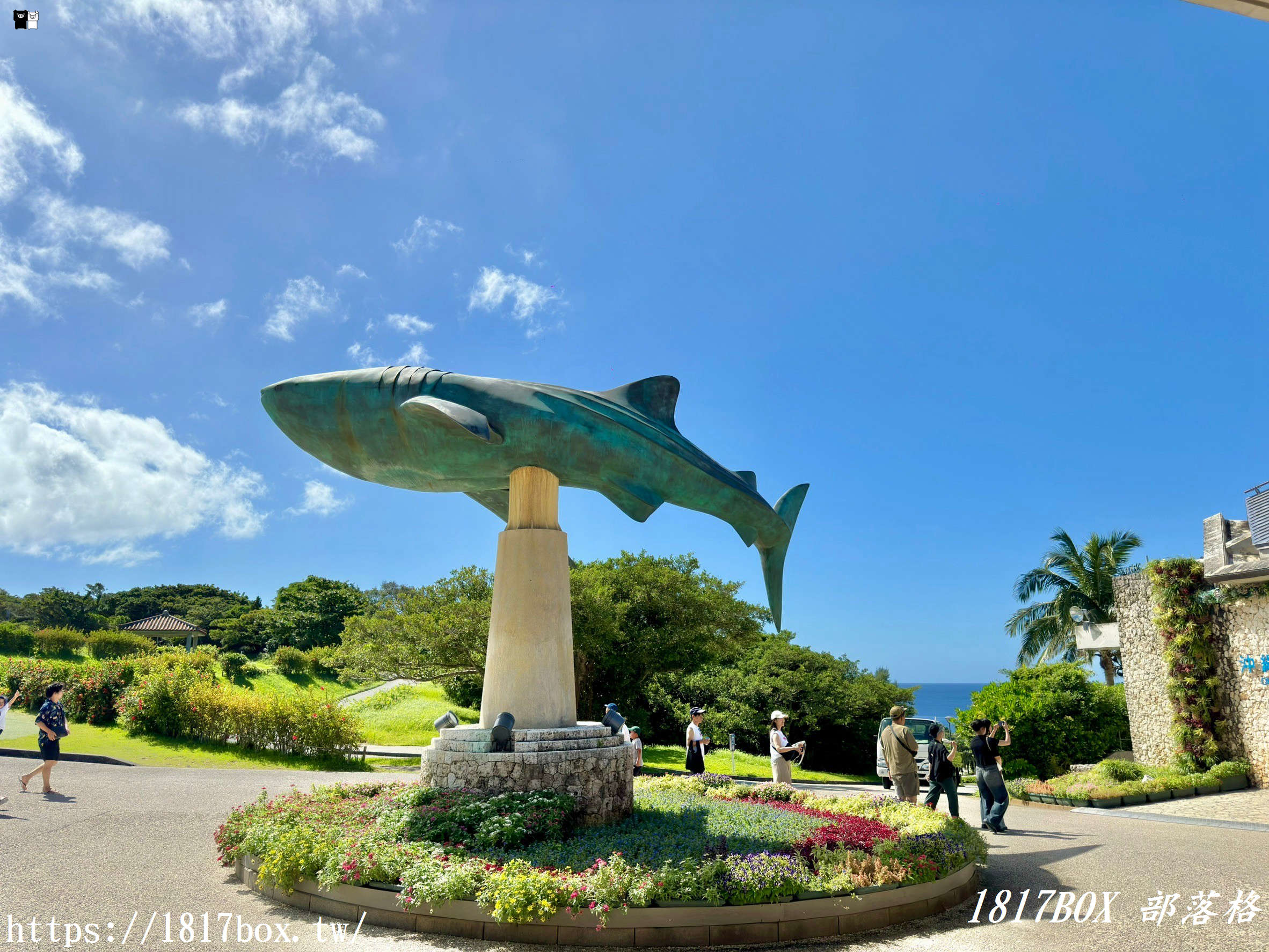 【沖繩景點】世界前三大水族館。沖繩美麗海水族館。沖繩親子遊景點首選