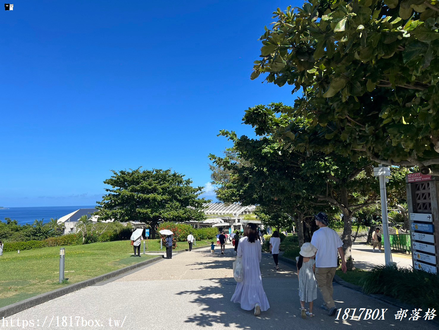 【沖繩景點】世界前三大水族館。沖繩美麗海水族館。沖繩親子遊景點首選