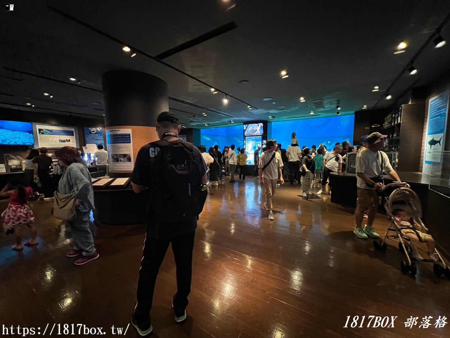 【沖繩景點】世界前三大水族館。沖繩美麗海水族館。沖繩親子遊景點首選