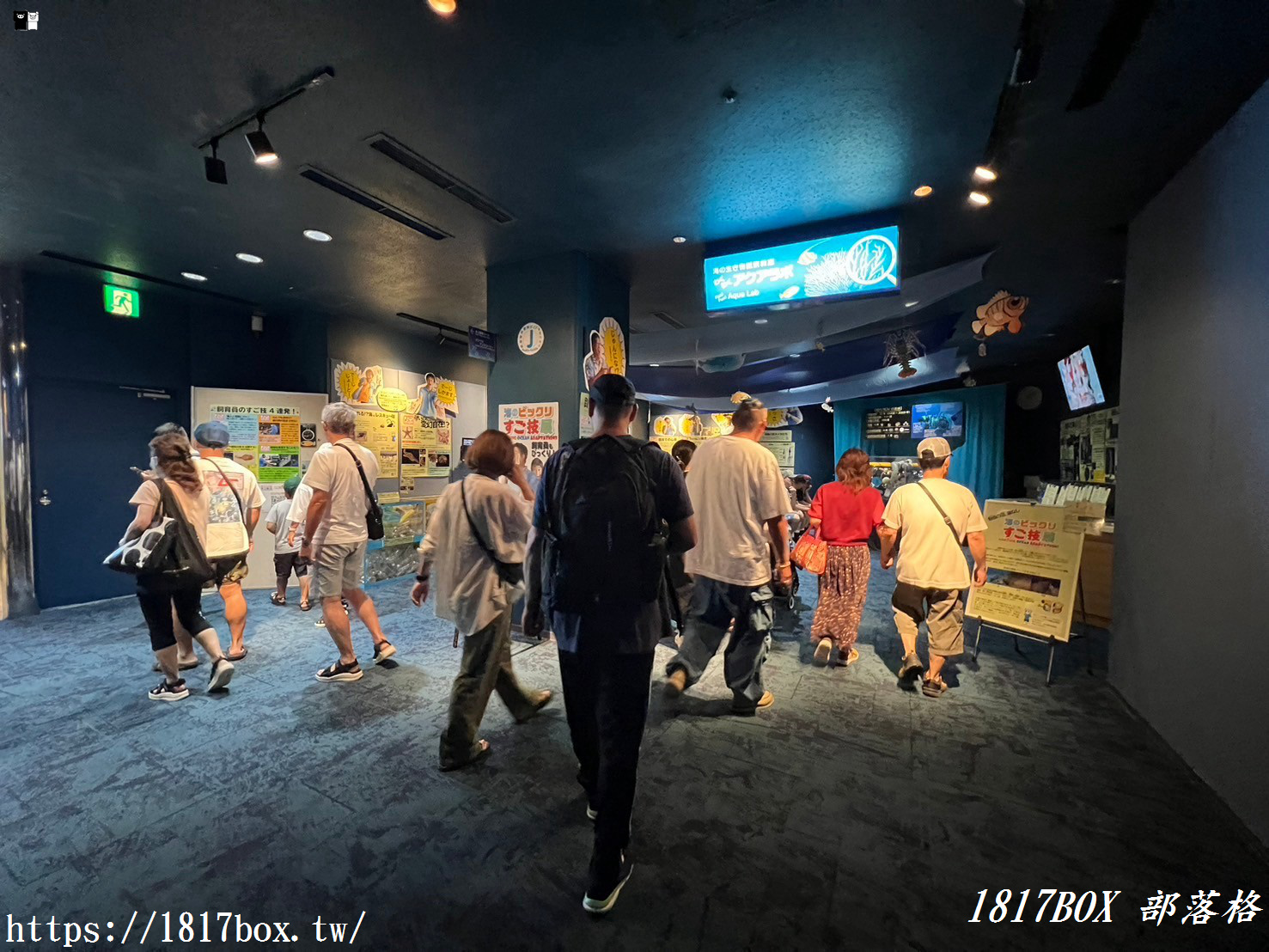 【沖繩景點】世界前三大水族館。沖繩美麗海水族館。沖繩親子遊景點首選