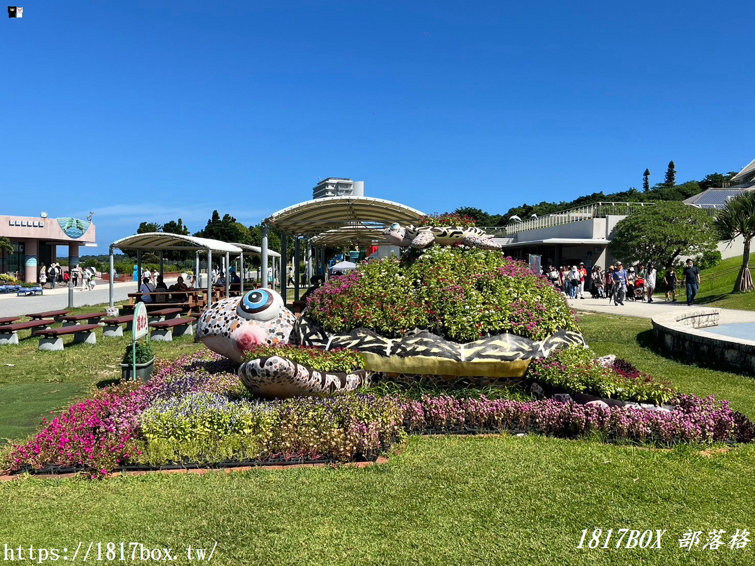 【沖繩景點】世界前三大水族館。沖繩美麗海水族館。沖繩親子遊景點首選