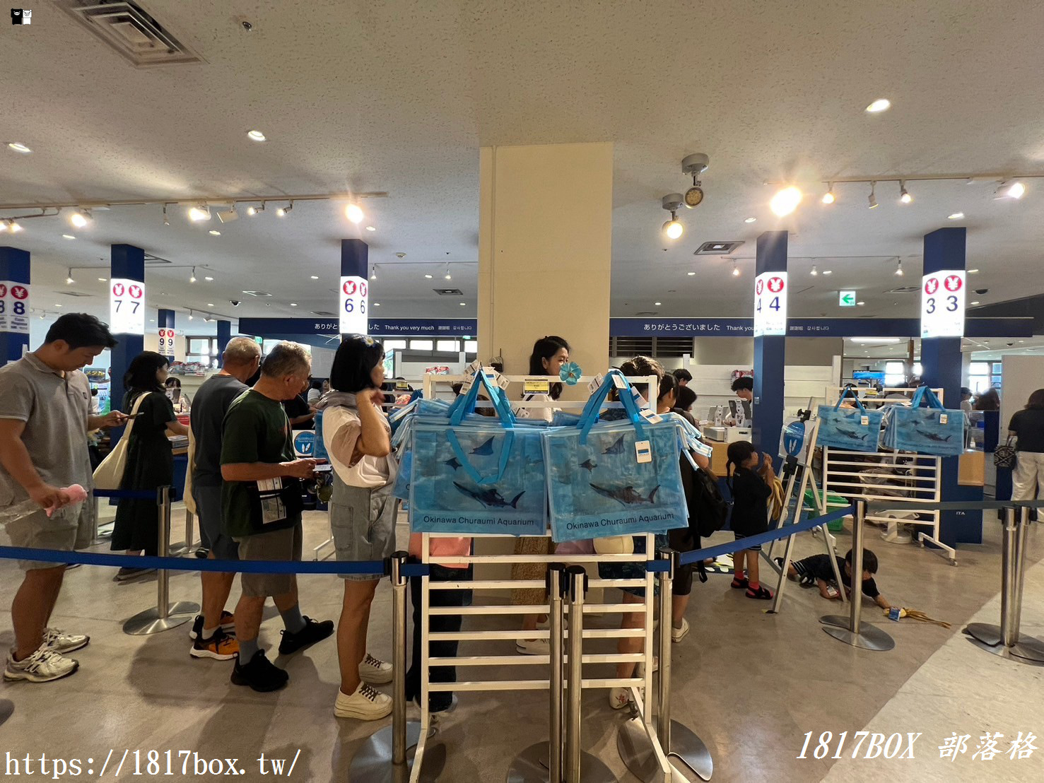 【沖繩景點】世界前三大水族館。沖繩美麗海水族館。沖繩親子遊景點首選