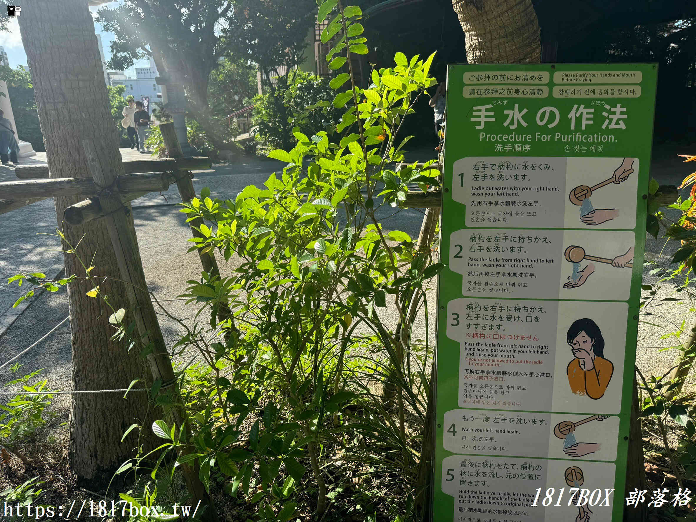 【沖繩景點】波上宮。懸崖上的神社。絕美海灘、鳥居、神社一次擁有