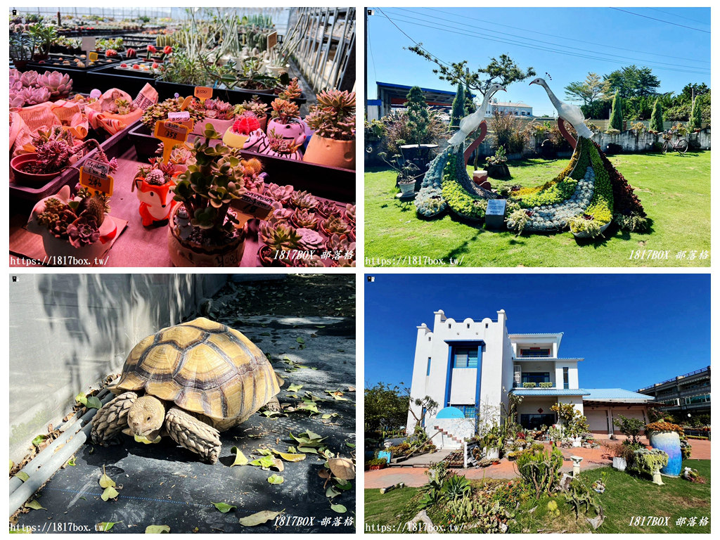 【彰化。田尾】荷蘭花園。多肉好好買。多肉植物。地中海花園 @1817BOX部落格