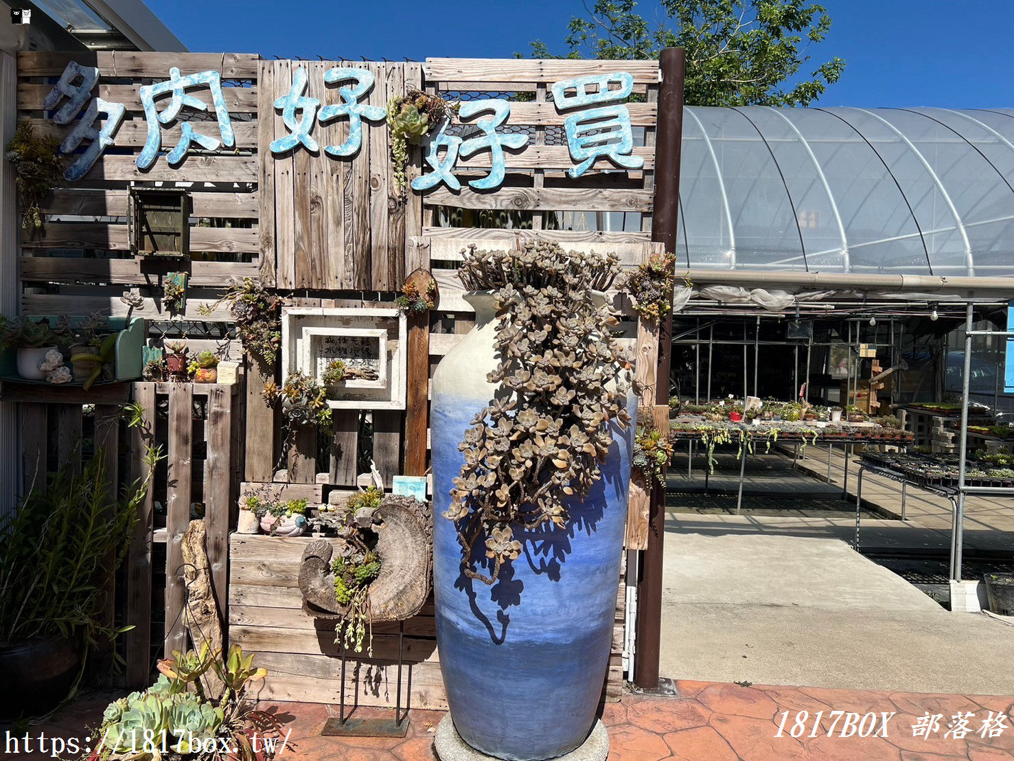 【彰化。田尾】荷蘭花園。多肉好好買。多肉植物。地中海花園