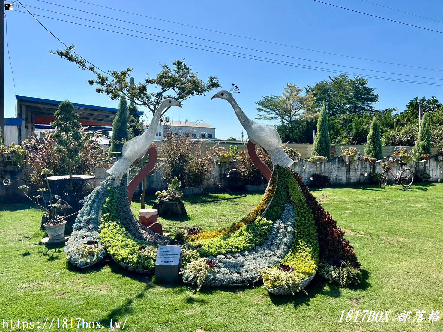 【彰化。田尾】荷蘭花園。多肉好好買。多肉植物。地中海花園