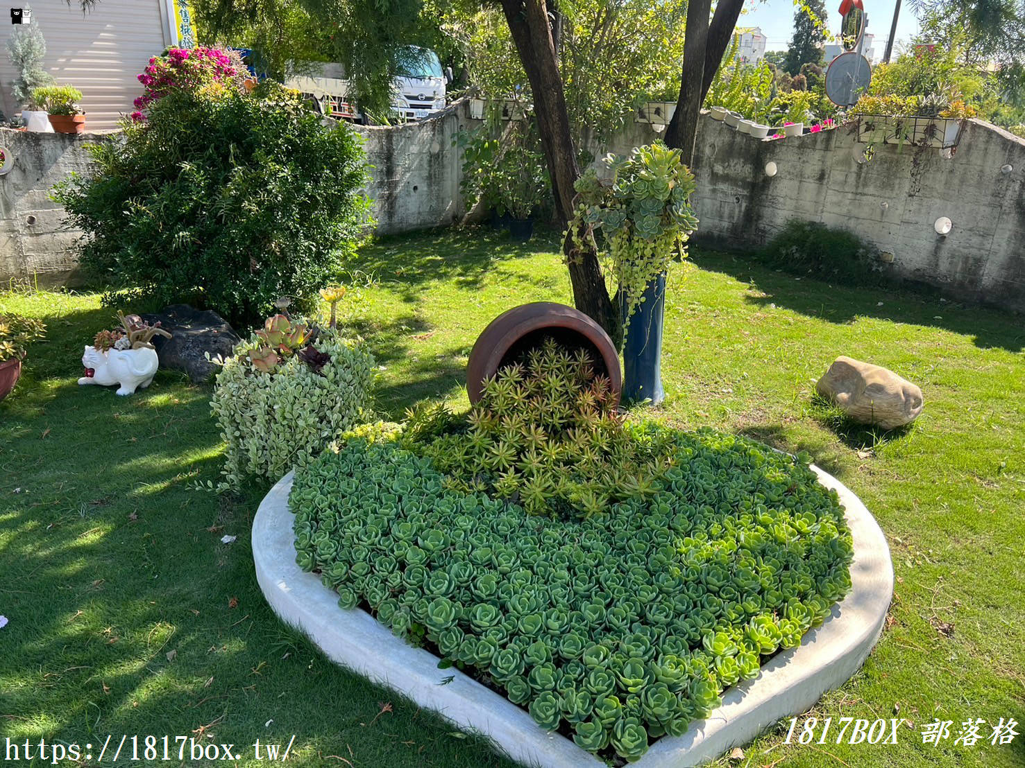 【彰化。田尾】荷蘭花園。多肉好好買。多肉植物。地中海花園