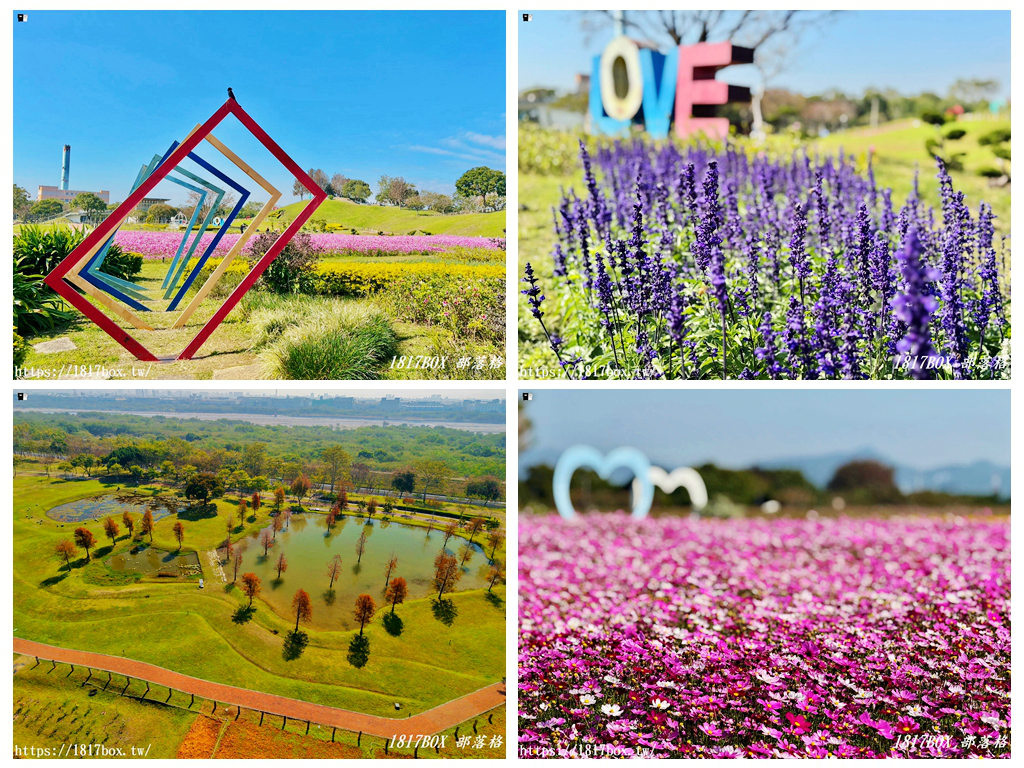 【台中。后里】后里環保公園。賞花、放風箏、野餐。空拍攝影分享 @1817BOX部落格