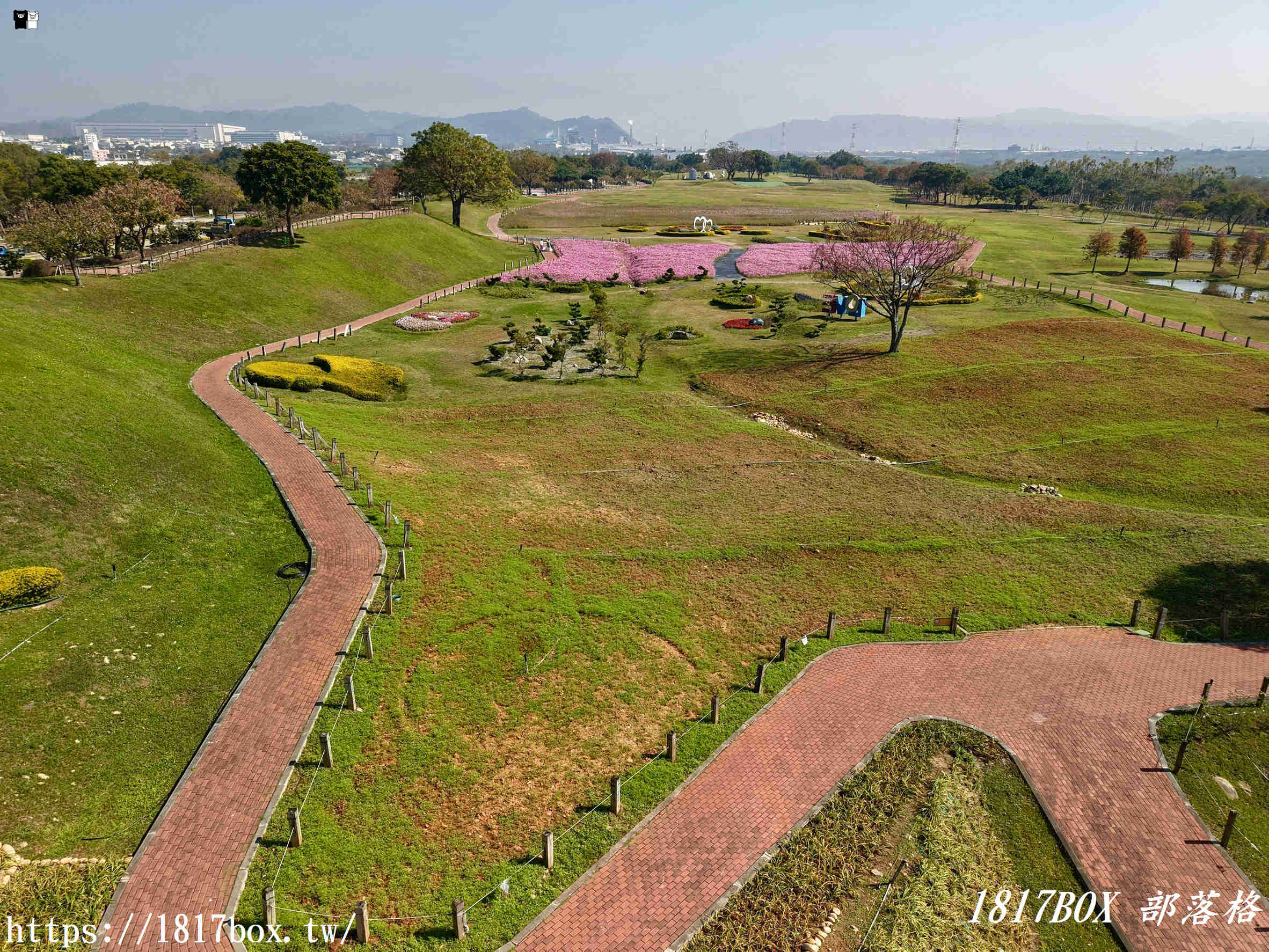 【台中。后里】后里環保公園。賞花、放風箏、野餐。空拍攝影分享