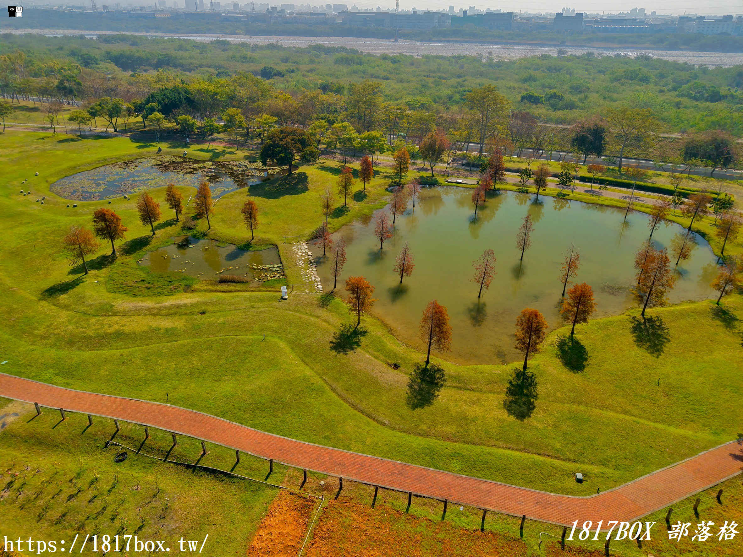 【台中。后里】后里環保公園。賞花、放風箏、野餐。空拍攝影分享