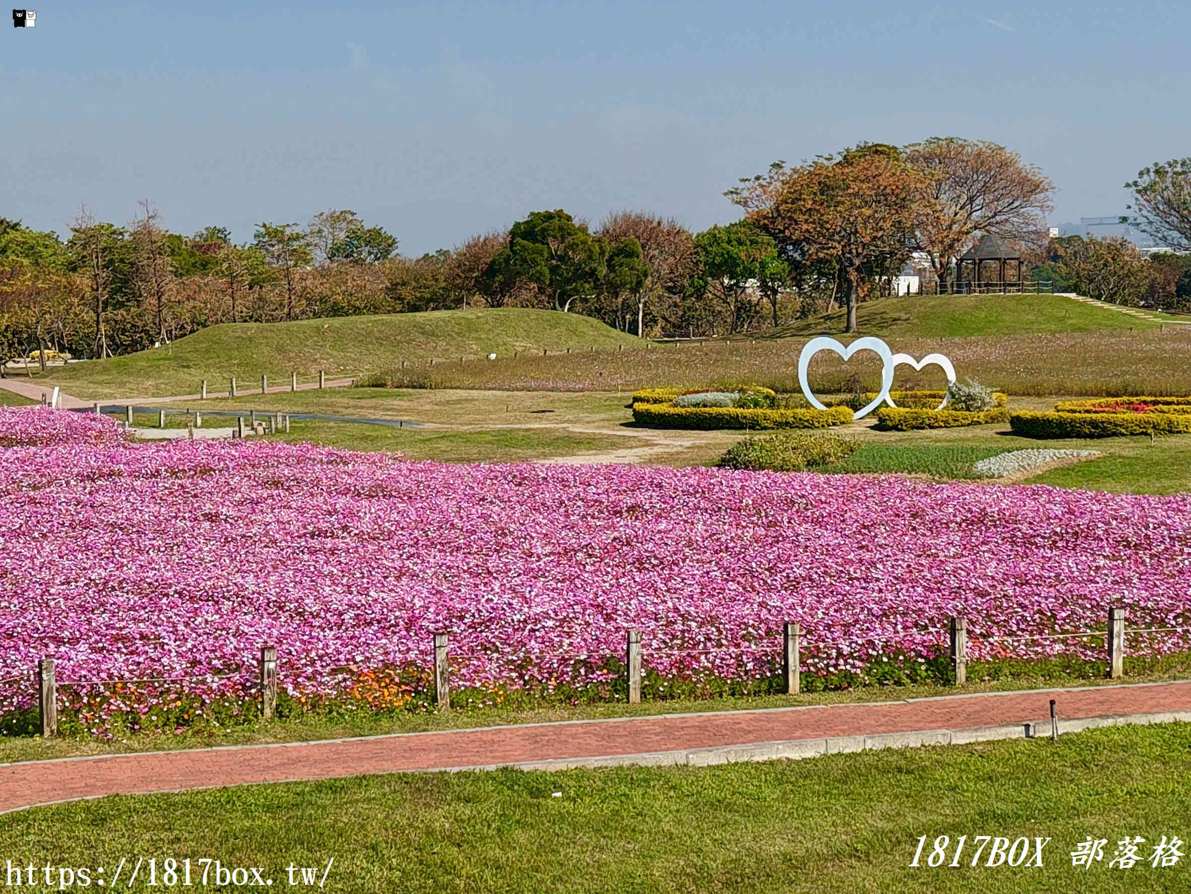 【台中。后里】后里環保公園。賞花、放風箏、野餐。空拍攝影分享