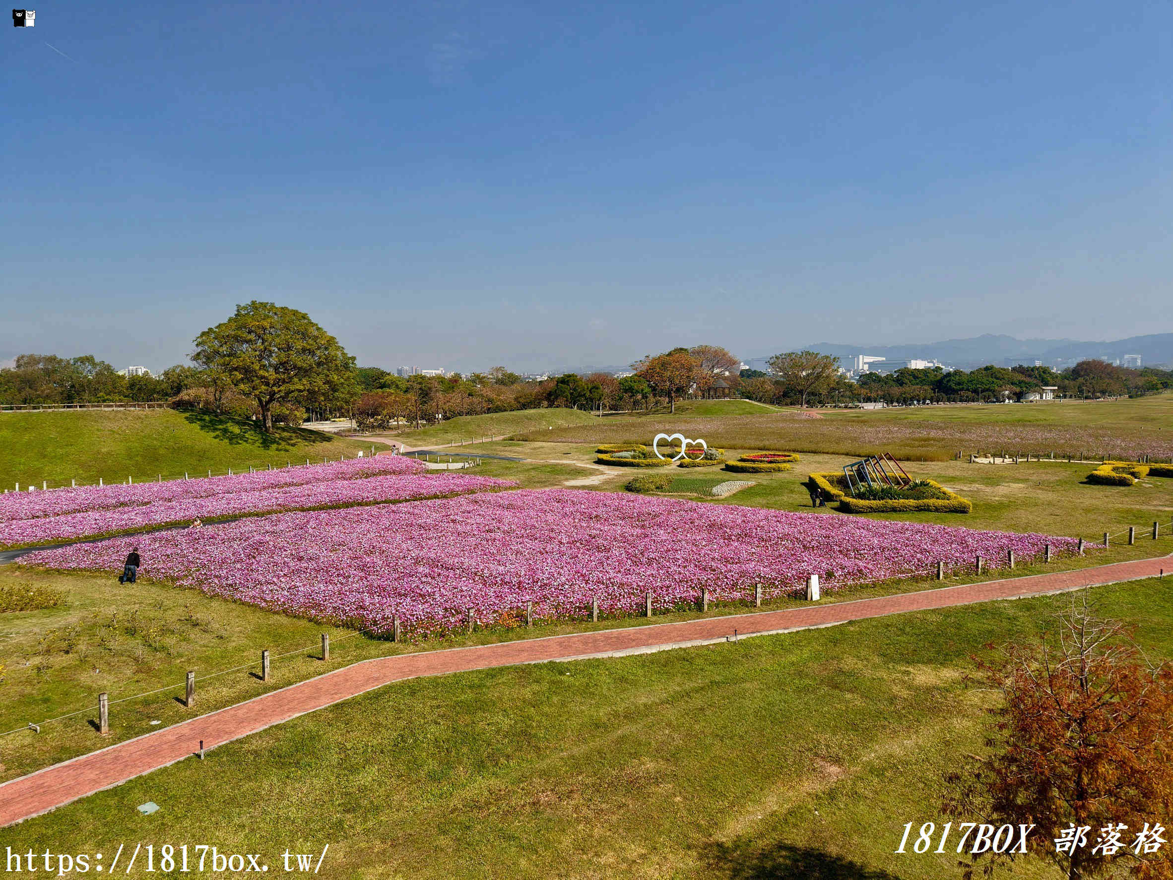 【台中。后里】后里環保公園。賞花、放風箏、野餐。空拍攝影分享