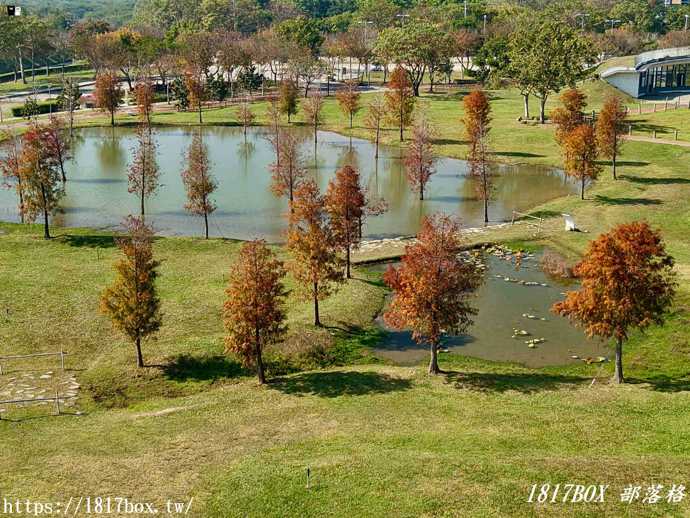 【台中。后里】后里環保公園。賞花、放風箏、野餐。空拍攝影分享