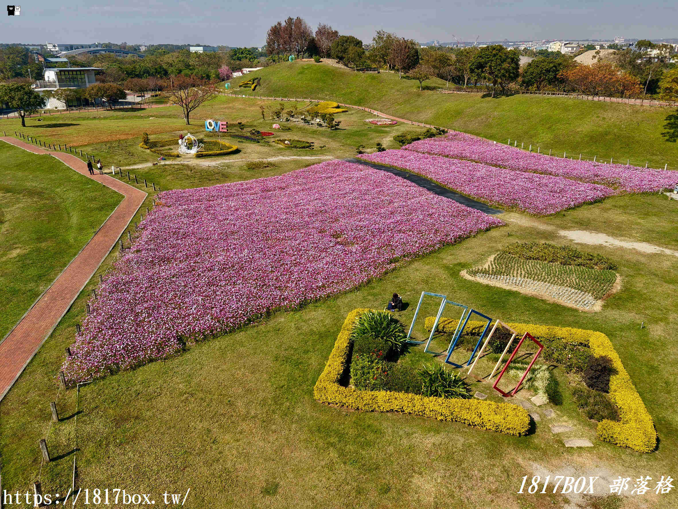 【台中。后里】后里環保公園。賞花、放風箏、野餐。空拍攝影分享