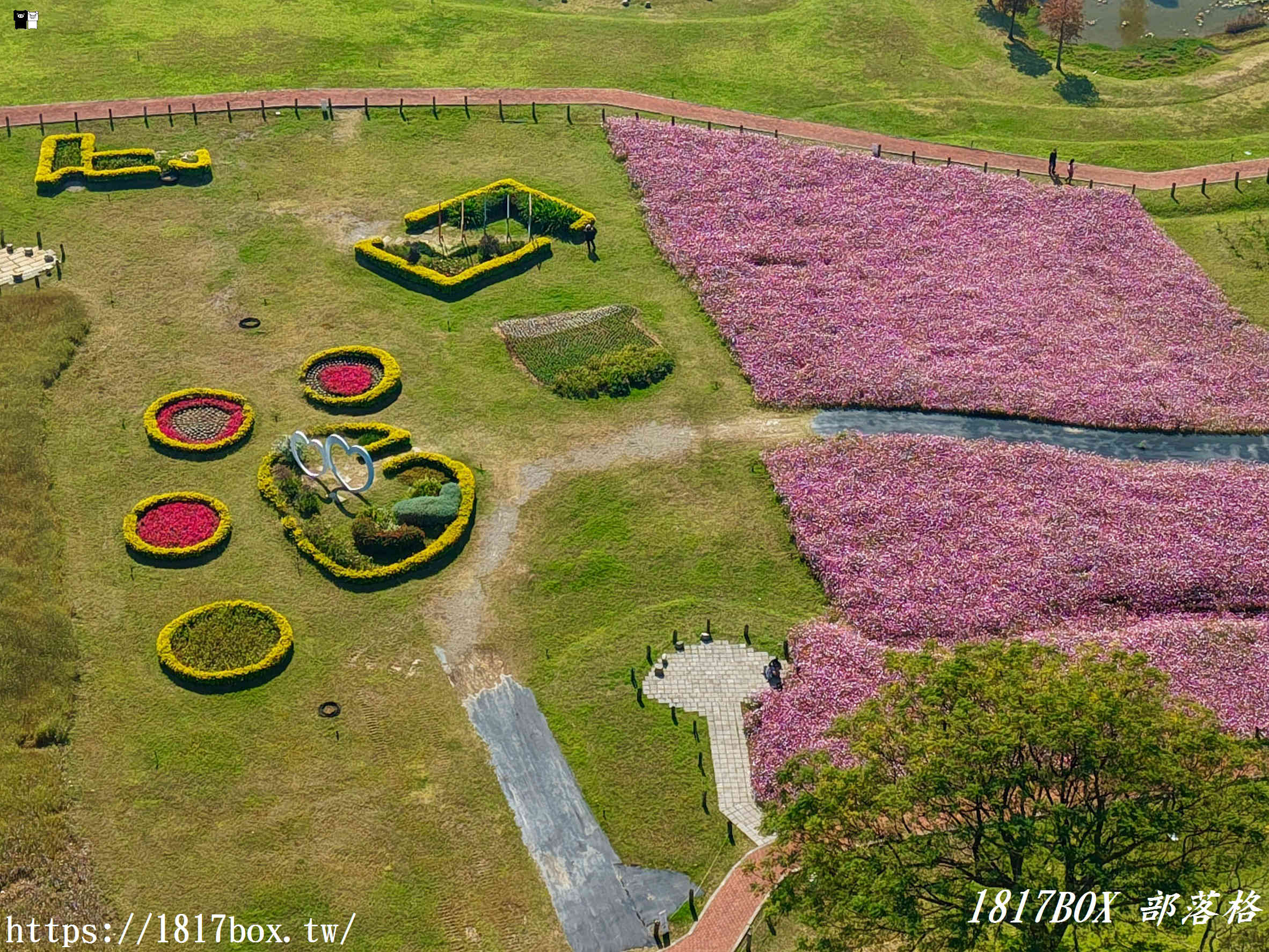 【台中。后里】后里環保公園。賞花、放風箏、野餐。空拍攝影分享