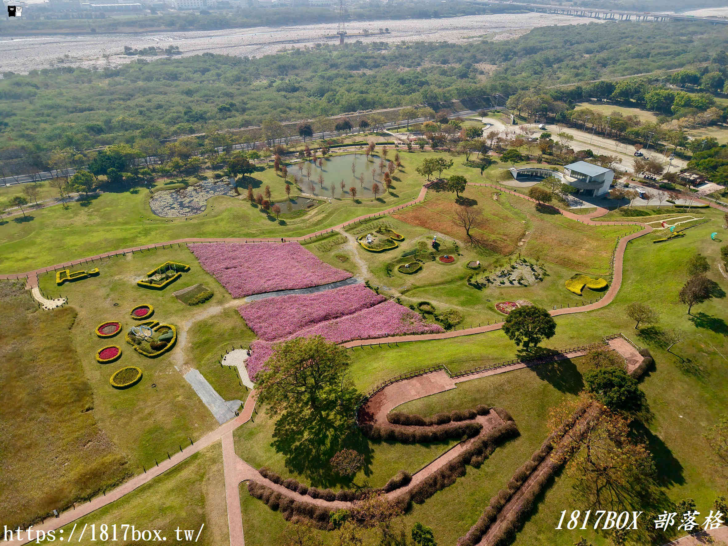 【台中。后里】后里環保公園。賞花、放風箏、野餐。空拍攝影分享