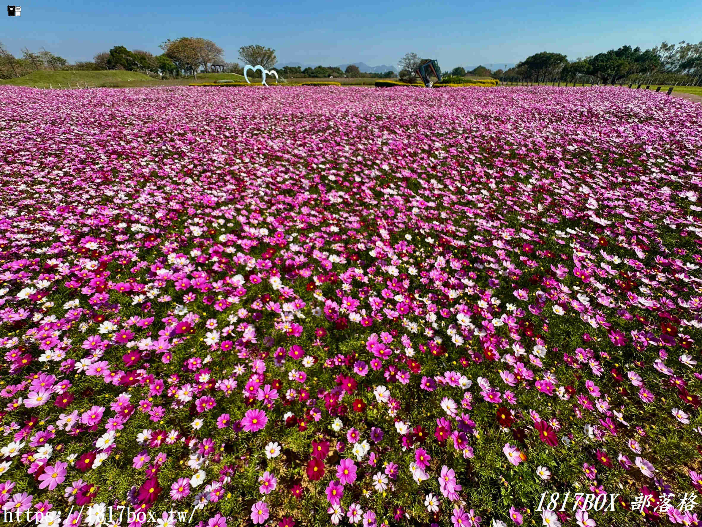 【台中。后里】后里環保公園。賞花、放風箏、野餐。空拍攝影分享