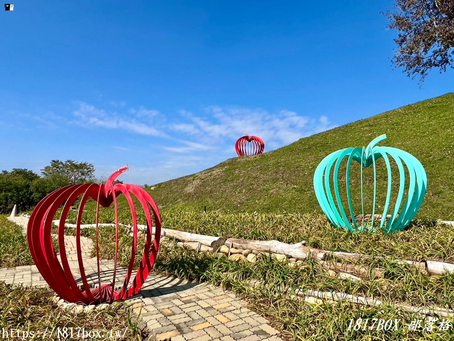 【台中。后里】后里環保公園。賞花、放風箏、野餐。空拍攝影分享