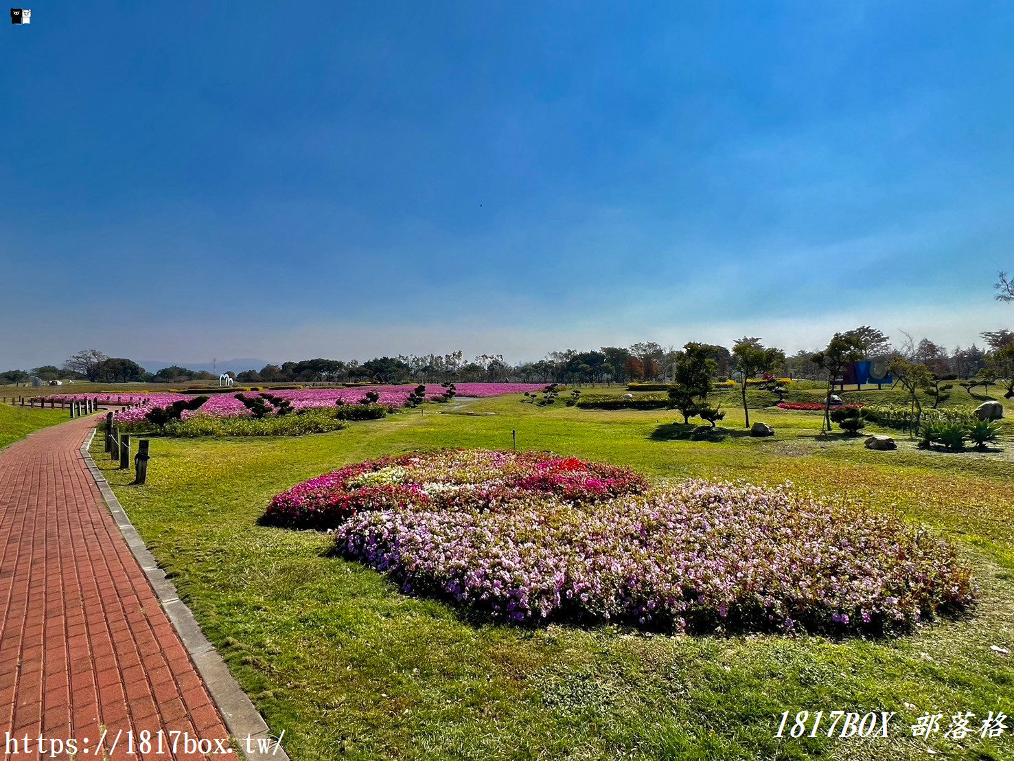 【台中。后里】后里環保公園。賞花、放風箏、野餐。空拍攝影分享