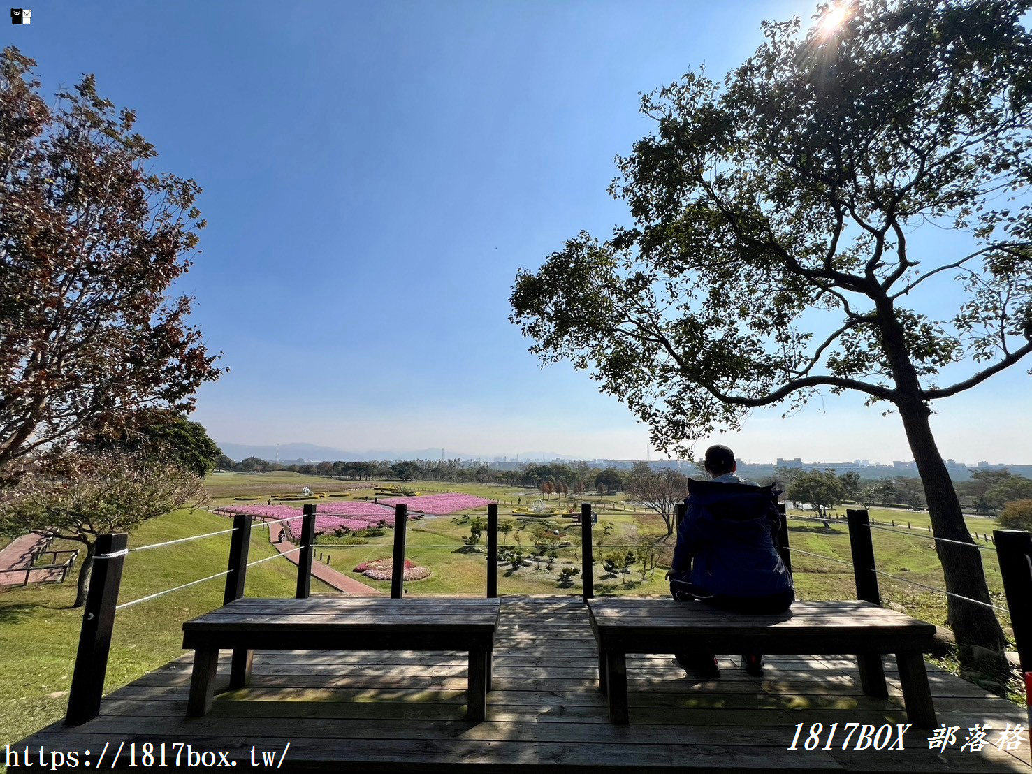 【台中。后里】后里環保公園。賞花、放風箏、野餐。空拍攝影分享