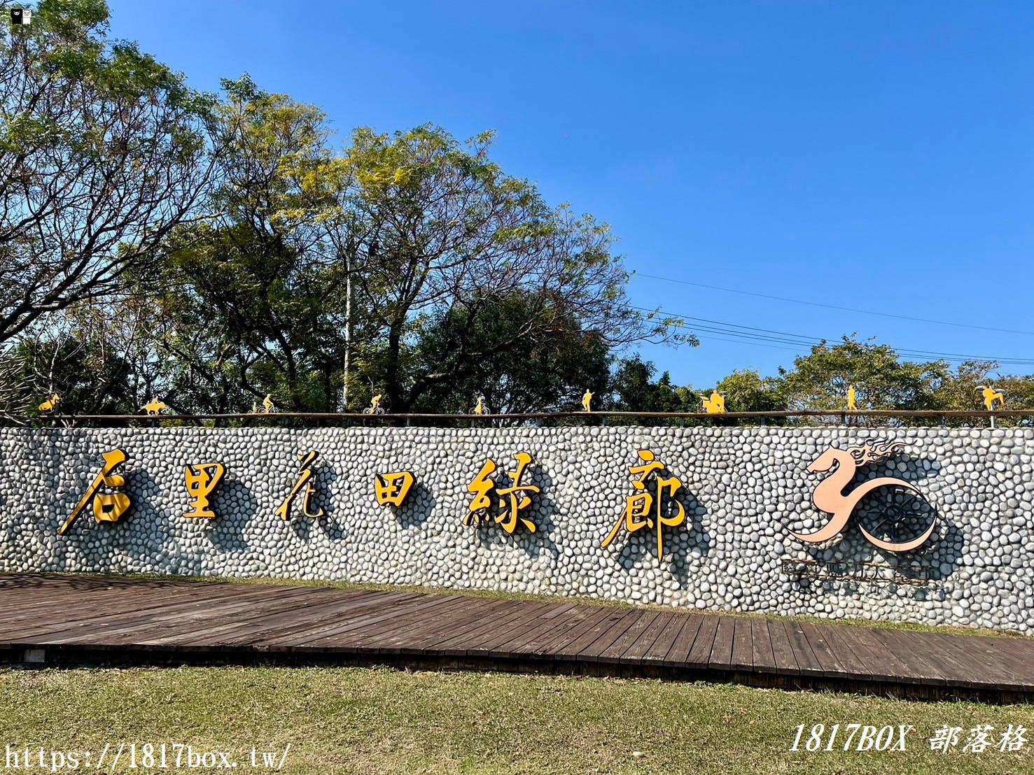 【台中。后里】后里環保公園。賞花、放風箏、野餐。空拍攝影分享