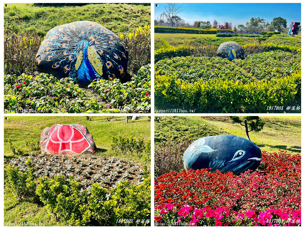 【台中。后里】后里環保公園。賞花、放風箏、野餐。空拍攝影分享