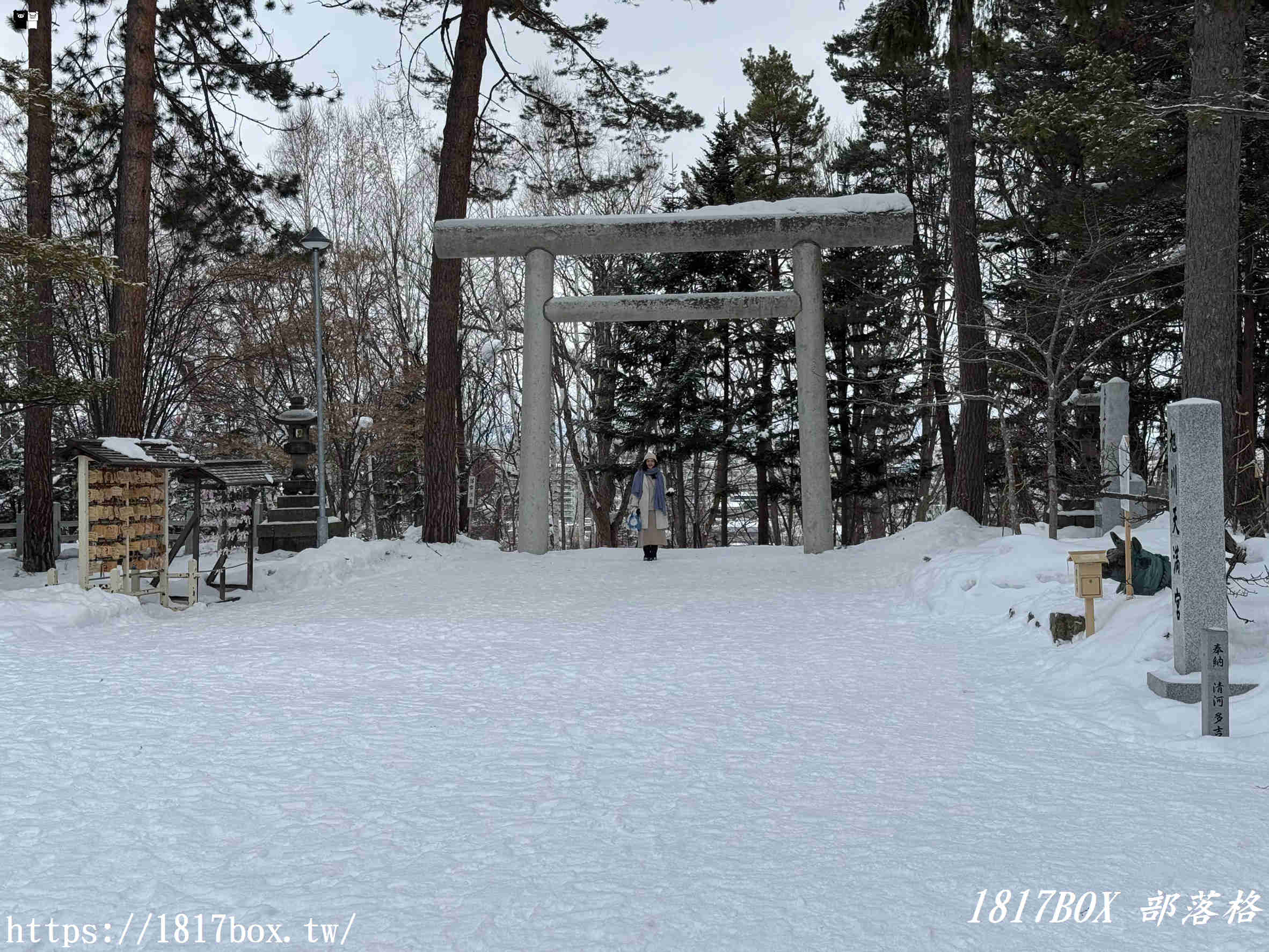 【北海道景點】上川神社。提升金錢運的神社